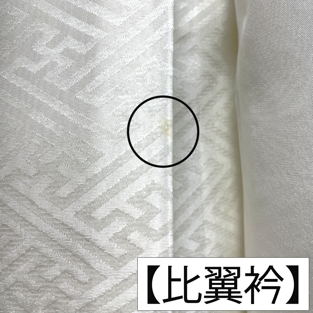 色留袖 正絹 身丈157cm 裄丈63cm 袷 白茶色（しらちゃいろ） 京友禅 作家物 銀閣寺 五つ紋 木瓜 Aランク ベージュ系 1111001553325