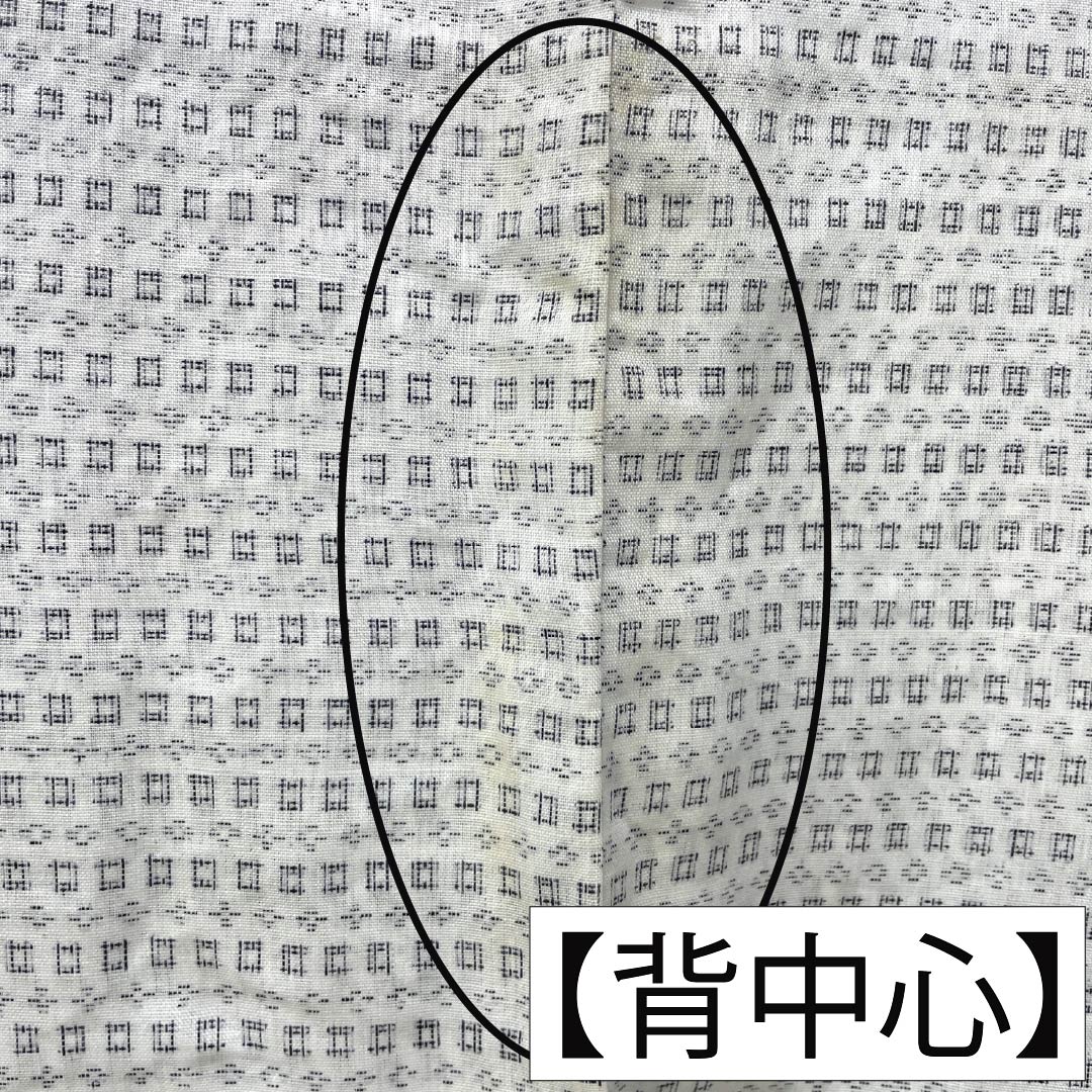 夏物 綿麻 男物 Bランク 身丈149cm 裄丈69cm 絣柄 紗 白系 1132006464411