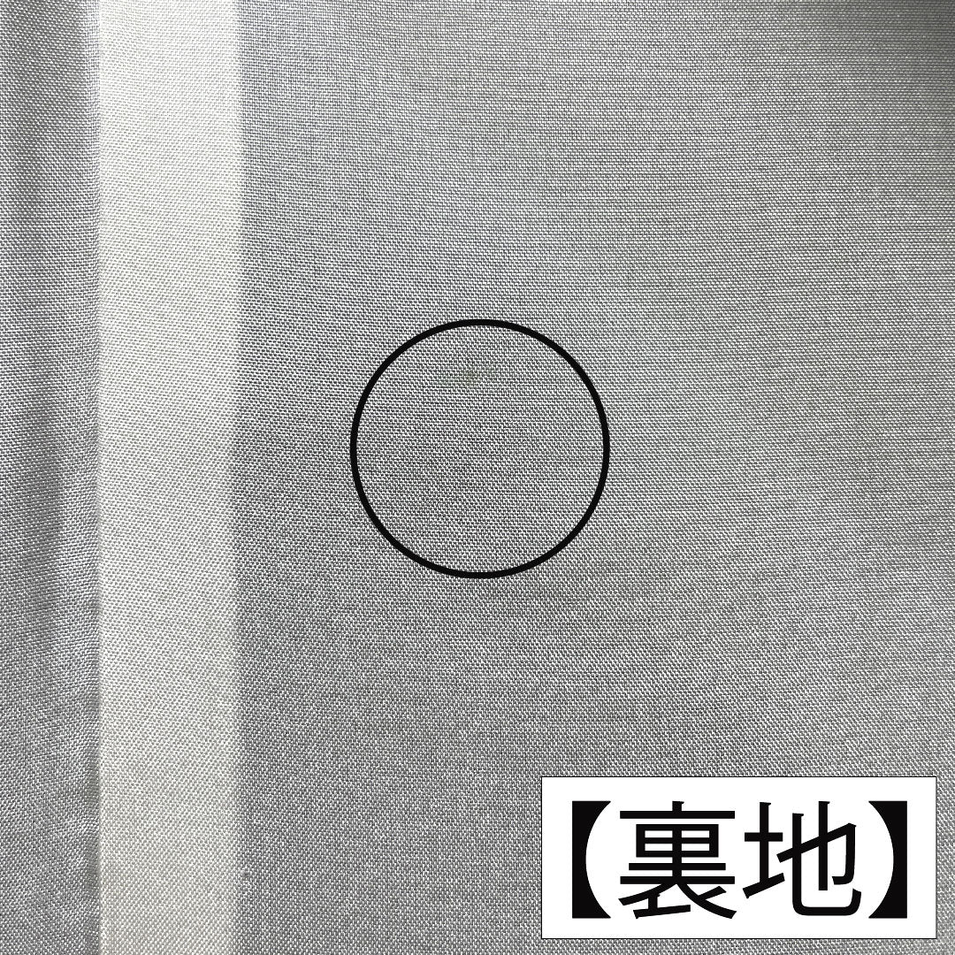 訪問着 正絹 袷 身丈158.5cm 裄丈65cm 生臙脂色（しょうえんじいろ） 大島紬地 紬地 蘇州刺繡 草花模様 Aランク 赤系 1112005493312