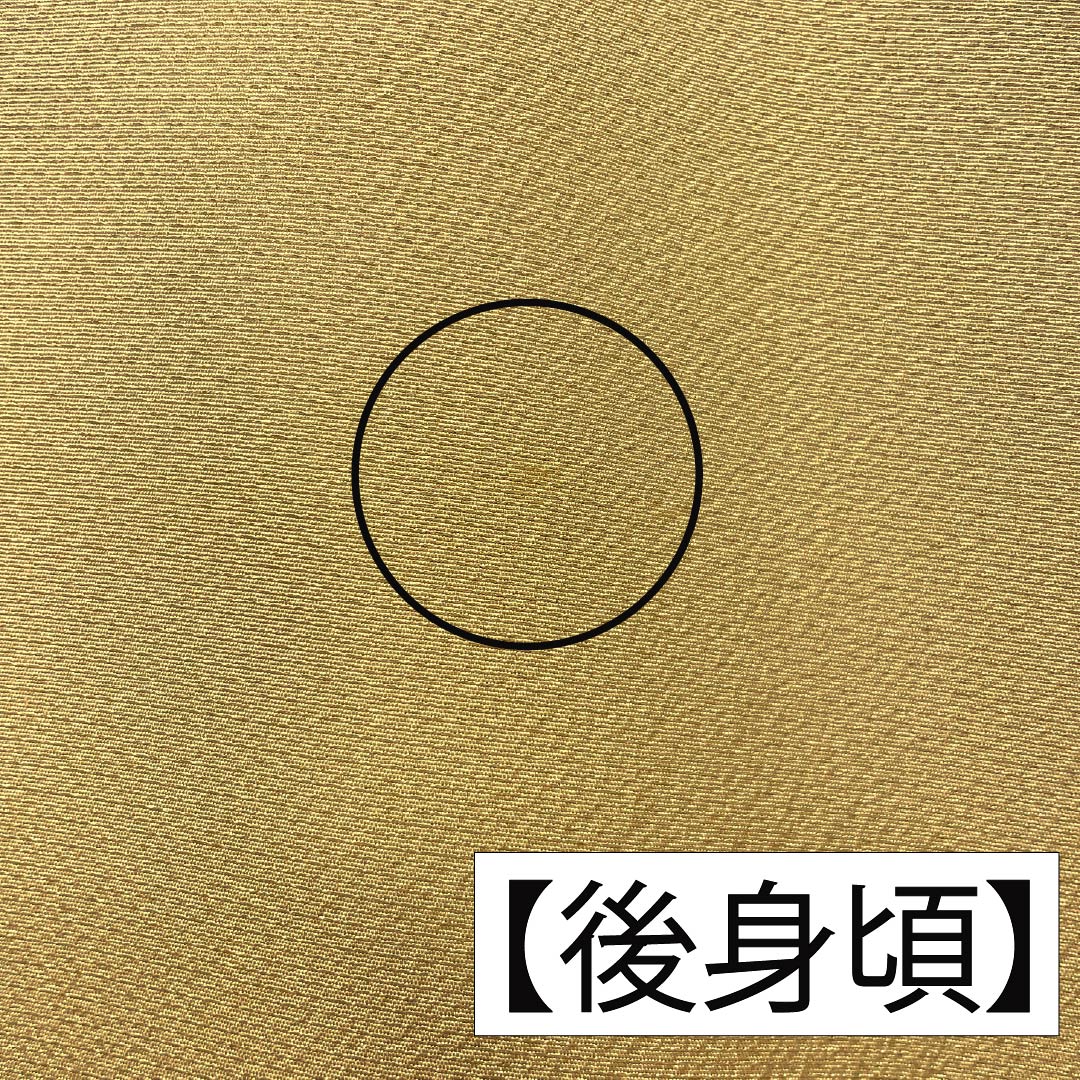 訪問着 正絹 Aランク 袷 身丈161cm 裄丈66.5cm 枇杷茶色（びわちゃいろ） 京紅型 草花 黄系 1112006473423