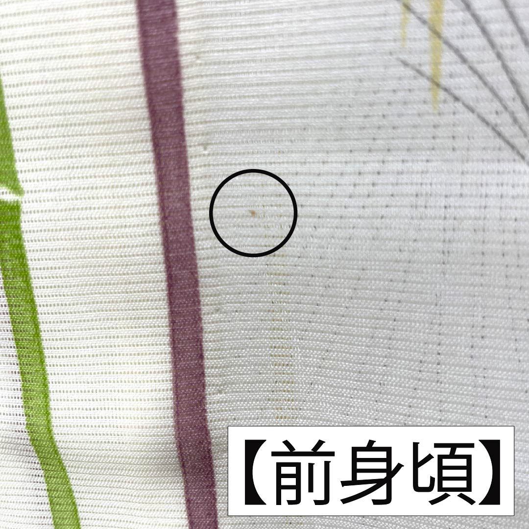 夏物 ポリエステル 小紋 Aランク 身丈158cm 裄丈64cm 乳白色（にゅうはくしょく） 洗える着物 竹 ススキ 絽 クリーム系 1132006083315