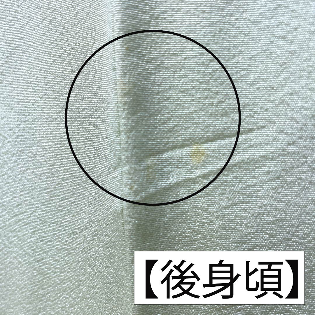 リサイクル着物】訪問着 正絹 Bランク 袷 身丈165cm 裄丈65.5cm 薄緑色