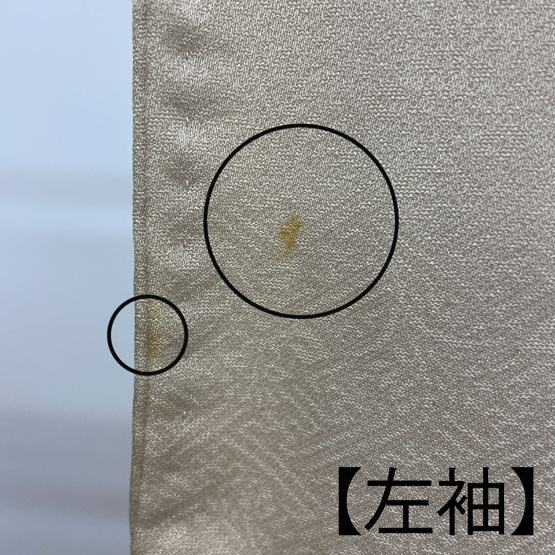 色留袖 身丈157cm 裄丈64cm 袷 東京友禅 正絹 Bランク 三つ紋 クリーム系 1111000284315