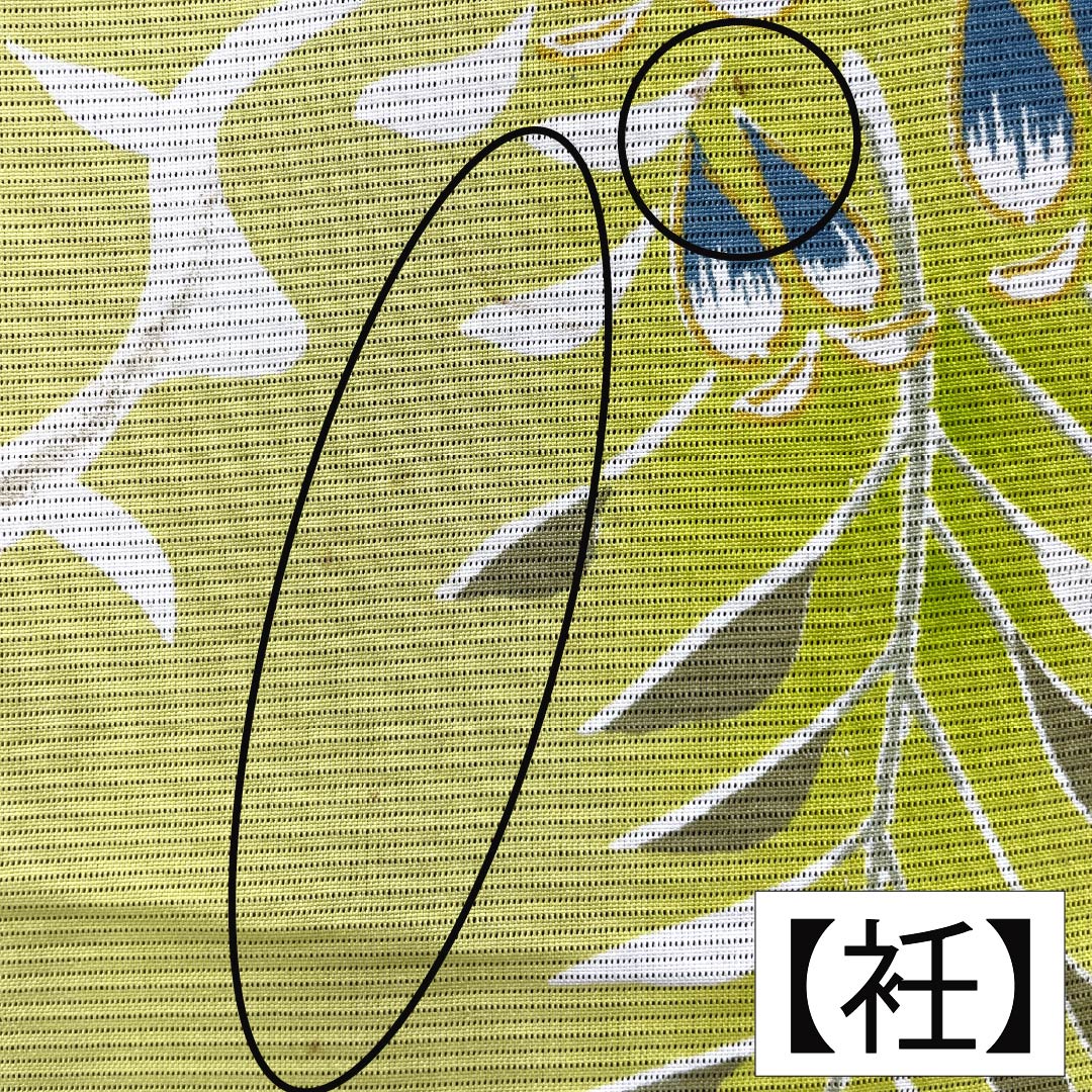 Summer pure silk black formal kimono, length 153cm, sleeve length 62cm, Kyoto yuzen, five crests, wisteria, silk, A rank, black, 1132002103210