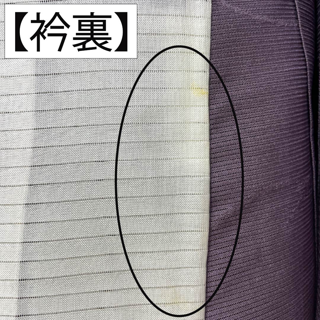 夏物 正絹 色無地 Bランク 身丈154cm 裄丈63cm 中滅紫色（なかのけしむらさきいろ） 露芝 絽 紫系 1132004464220