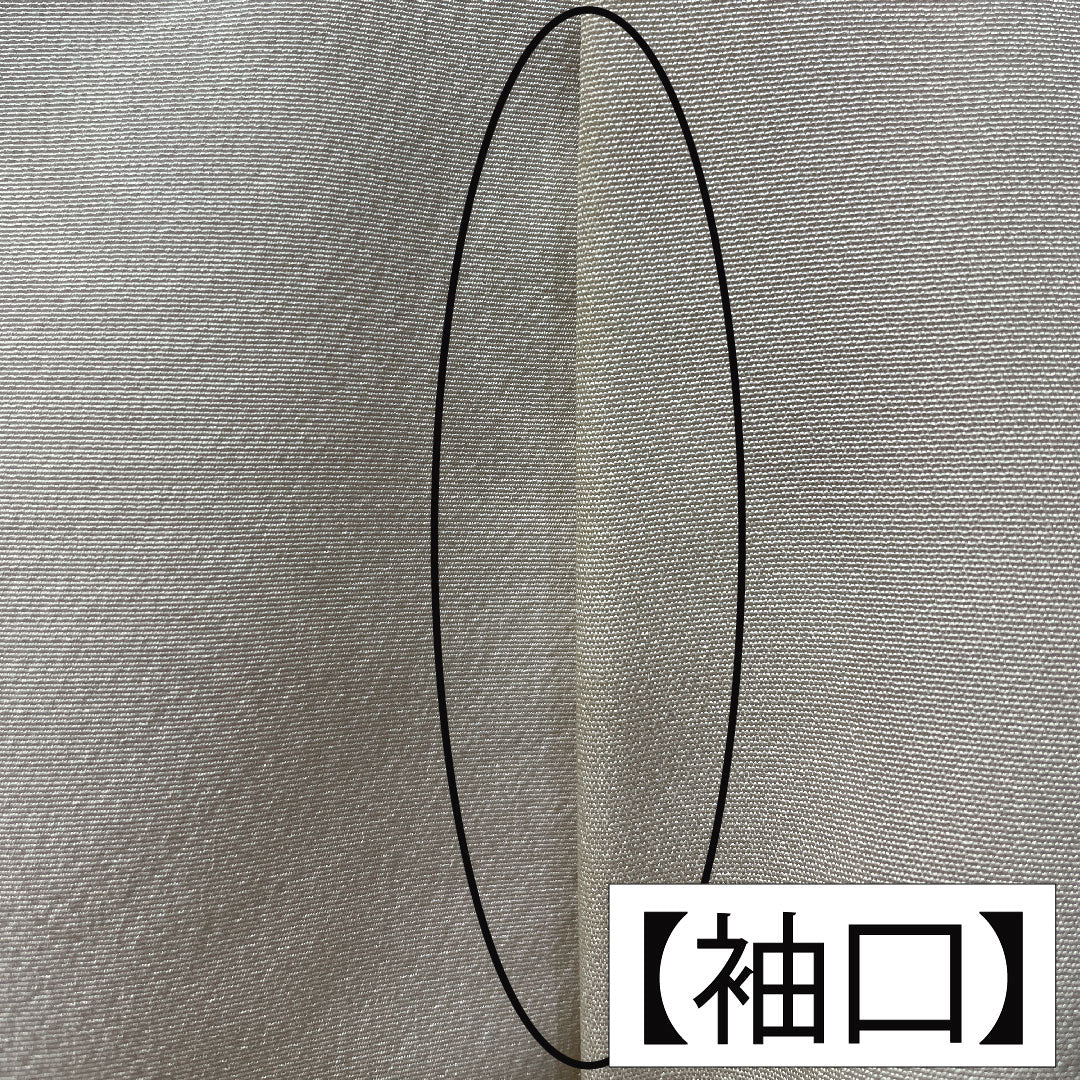 色留袖 正絹 身丈163cm 裄丈64cm 袷 白練色（しろねりいろ） 京友禅 刺繍 時代人物風景模様 一つ紋 三つ柏 パールトーン加工 Aランク ベージュ系 1111001493425