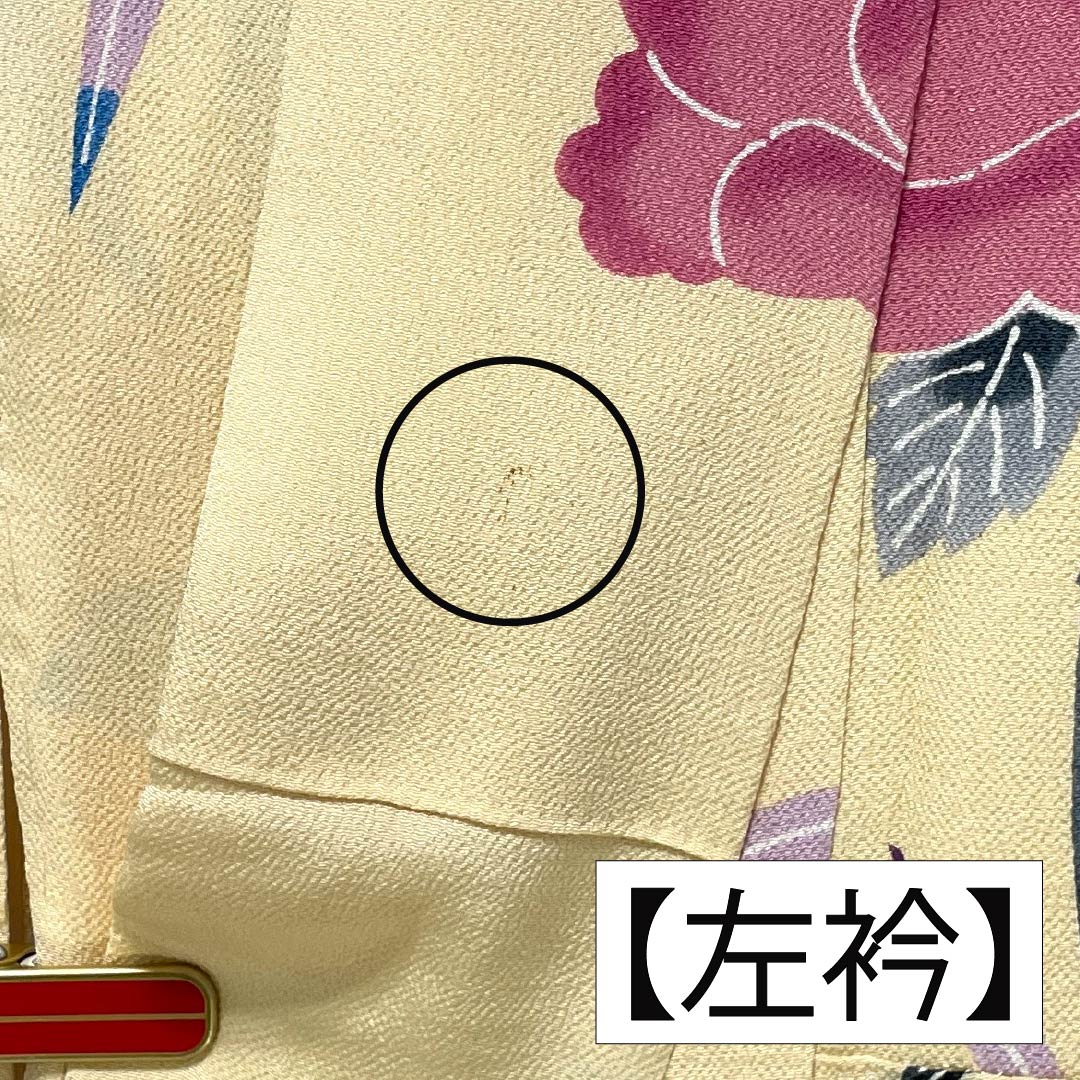 振袖 正絹 Aランク 身丈161cm 裄丈62.5cm 袷 薄柑子色（うすこうじいろ） 京紅型 牡丹 藤 ちりめん地 橙系 1113002403426