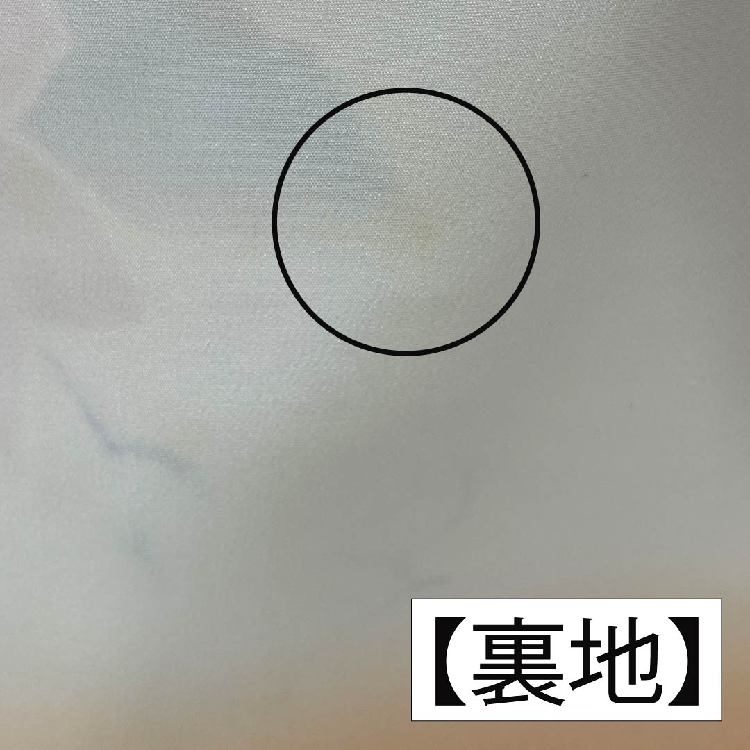 小紋 正絹 身丈160.5cm 裄丈64.5cm 袷 麴色（こうじいろ） 地紋起こし 洋花 Aランク クリーム系 1115006153415