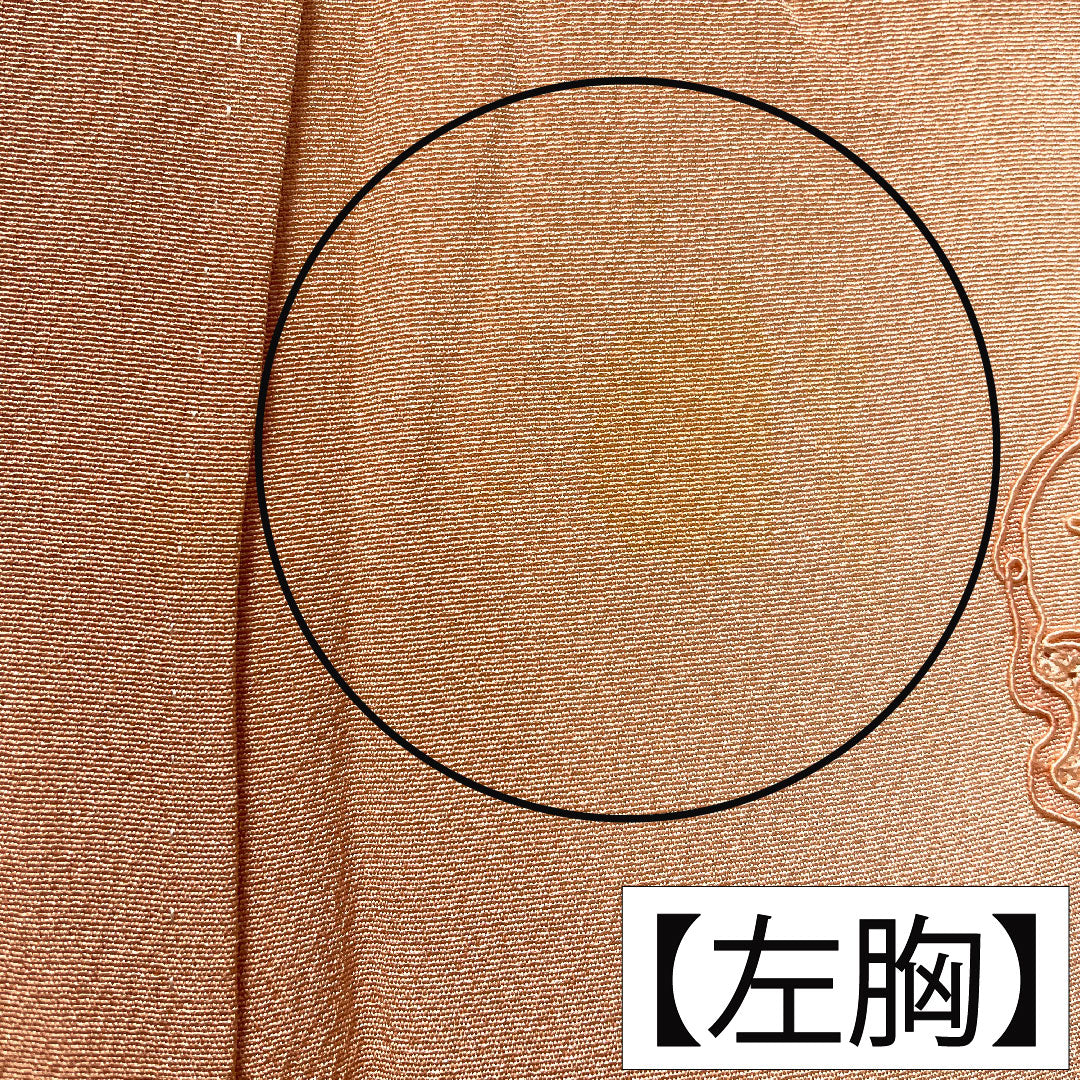 色留袖 正絹 身丈155cm 裄丈62.5cm 袷 東雲色（しののめいろ） 蘇州刺繡 吉祥文様 一つ紋 丸に違い鷹の羽 Bランク ピンク系 1111001694313