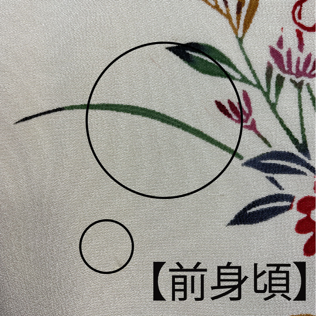 訪問着 袷 身丈159cm 裄丈62.5cm 鳥の子色 京紅型 草花模様 正絹 Aランク クリーム系 1112001943315