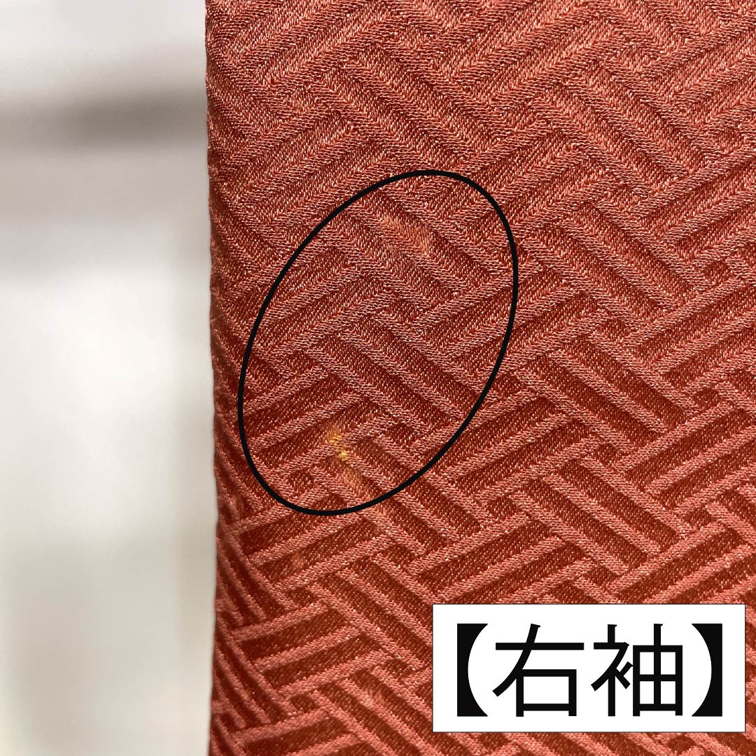 訪問着 正絹 Aランク 袷 身丈164cm 裄丈64.5cm 甚三紅色（じんざもみいろ） 京友禅 金駒刺繡 銀駒刺繍 絞り 蝶 赤系 1112007393412