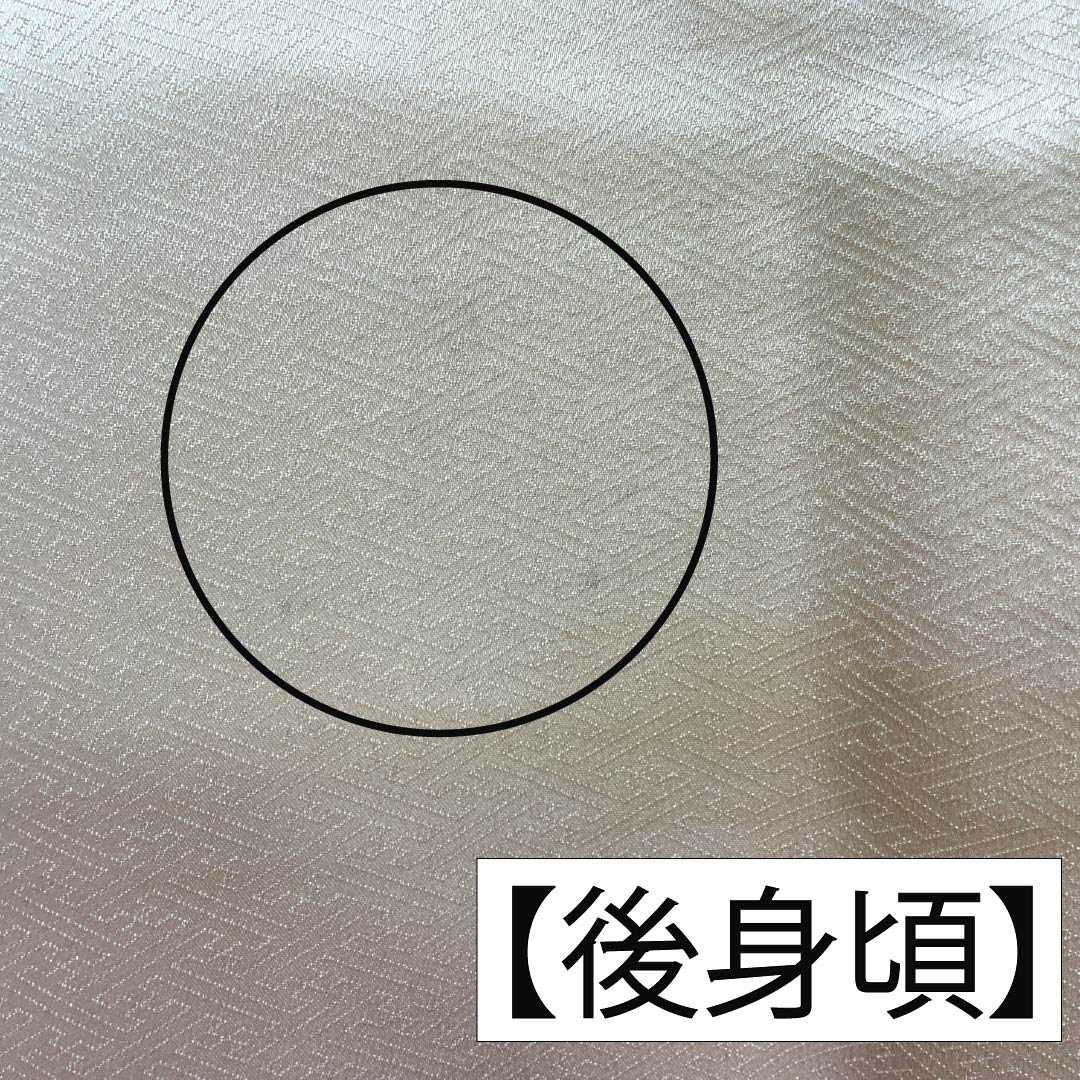 訪問着 正絹 Bランク 袷 身丈154.5cm 裄丈64cm 生成り色（きなりいろ） 福田喜重 人間国宝 一つ紋 上田家桐 刺繍 クリーム系 1112006824215