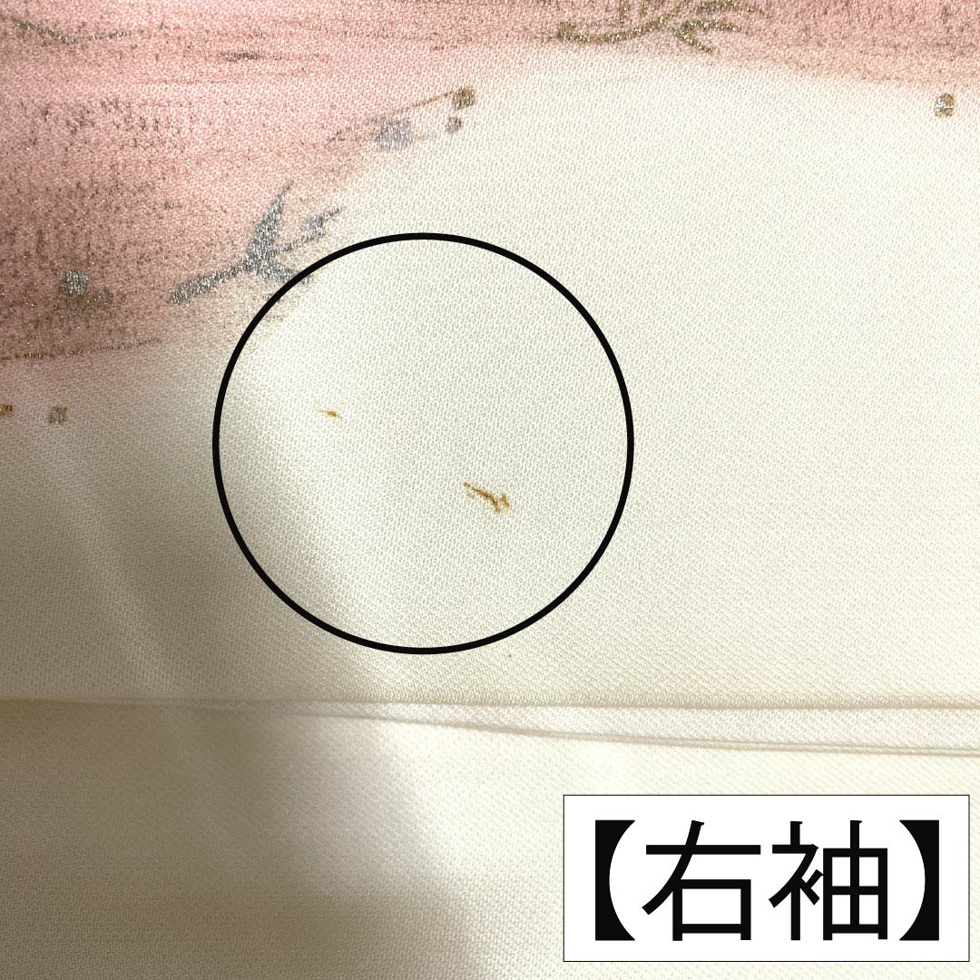 訪問着 袷 身丈162cm 裄丈64cm 肌色 京友禅 刺繡 草花模様 正絹 Bランク クリーム系 1112001614415