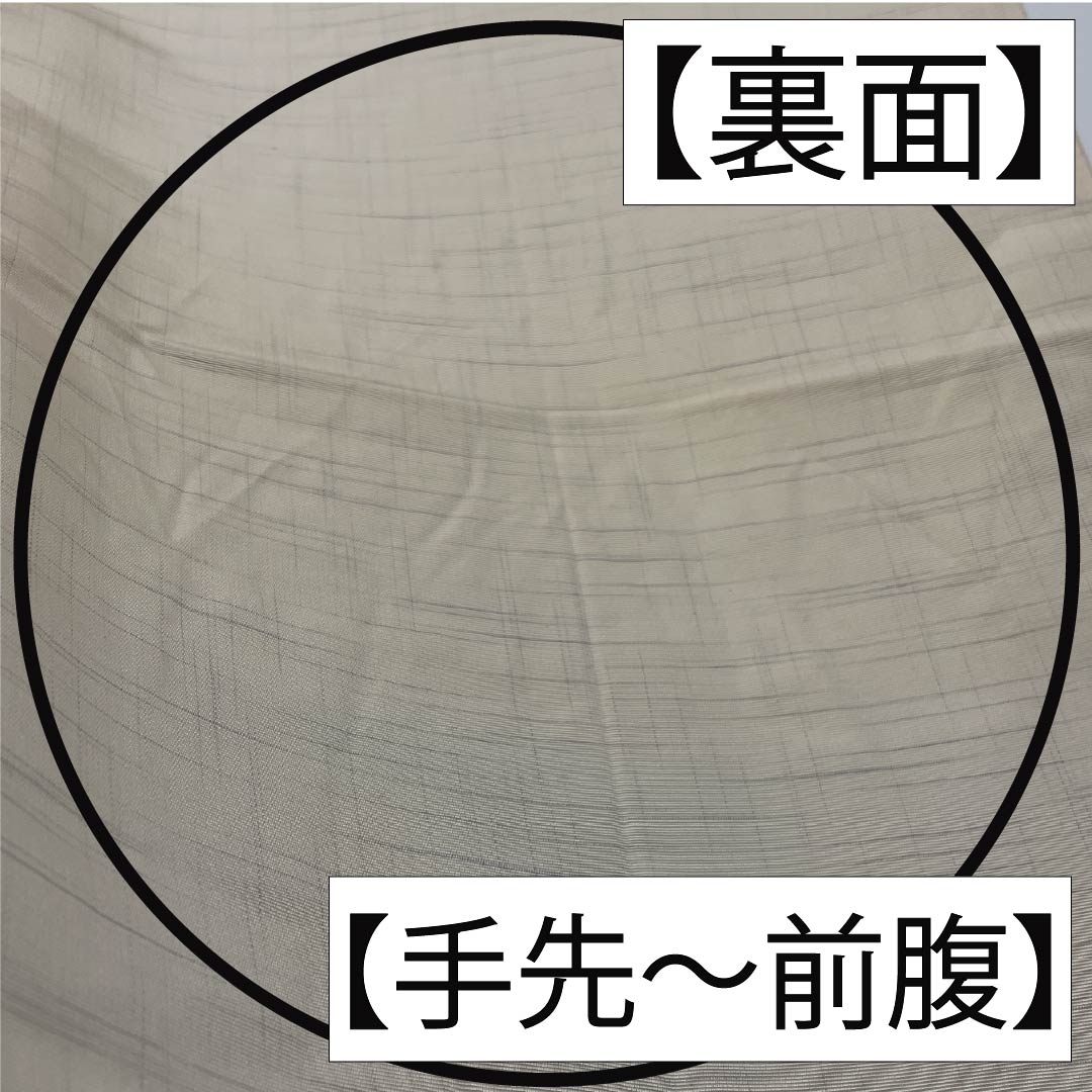 袋帯 正絹 生成り色（きなりいろ） 魚 花 帯丈442cm Sランク 六通 カジュアル クリーム系 1123012522315