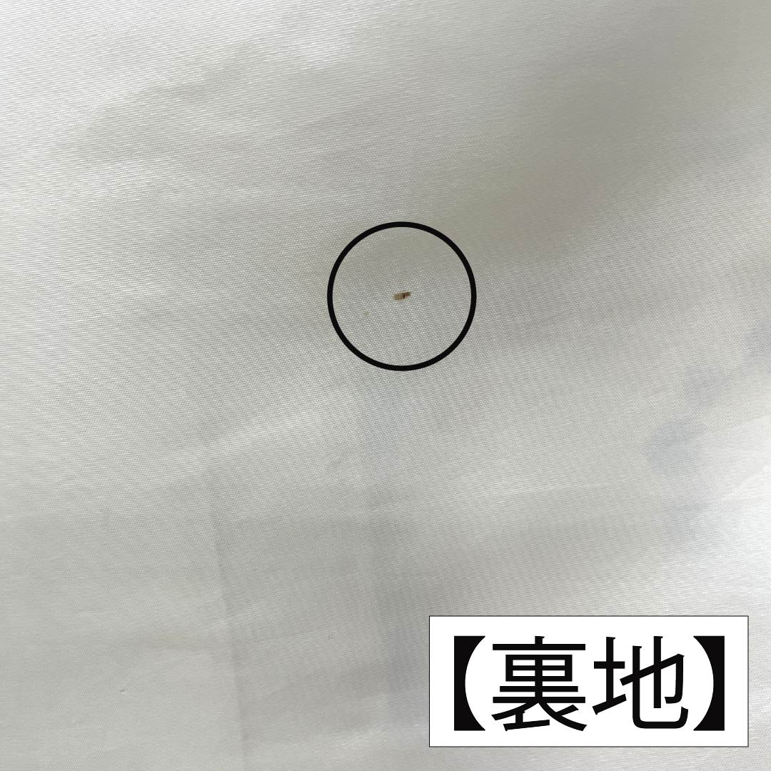 振袖 正絹 Aランク 身丈161.5cm 裄丈65.5cm 袷 乳白色（にゅうはくしょく） 京紅型 吉祥文様 しつけ糸付き 白系 1113002913411