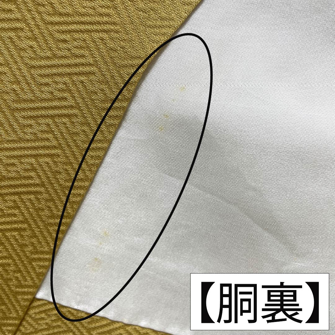 色無地 正絹 Bランク 身丈164.5cm 裄丈65.5cm 支子色（くちなしいろ） 紋意匠 草花模様 一つ紋 袷 黄系 1114003104423