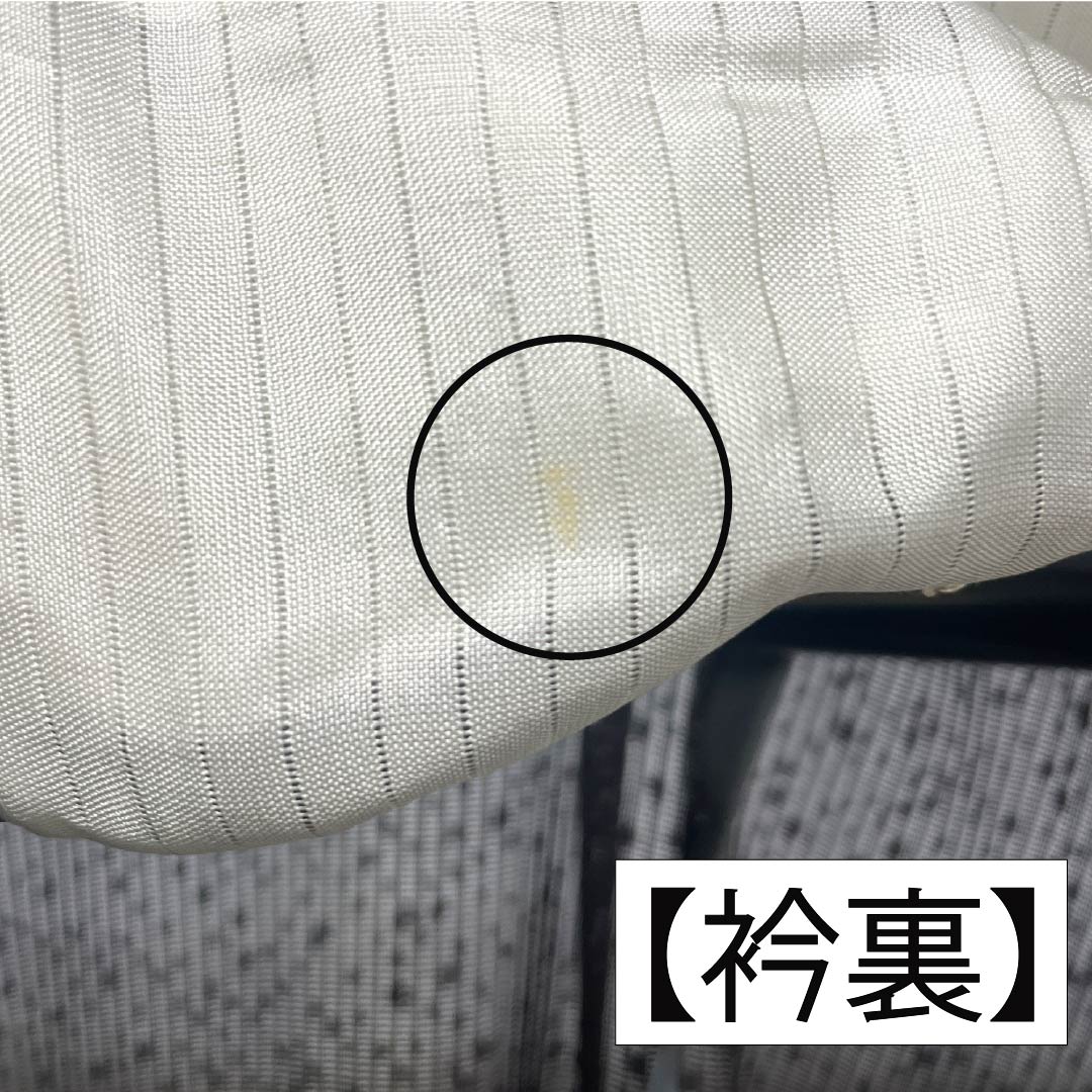 夏物 正絹 訪問着 Bランク 身丈165.5cm 裄丈65cm 都鼠色（みやこねずいろ） 京友禅 タタキ染 秋草 絽 茶系 1132005104514