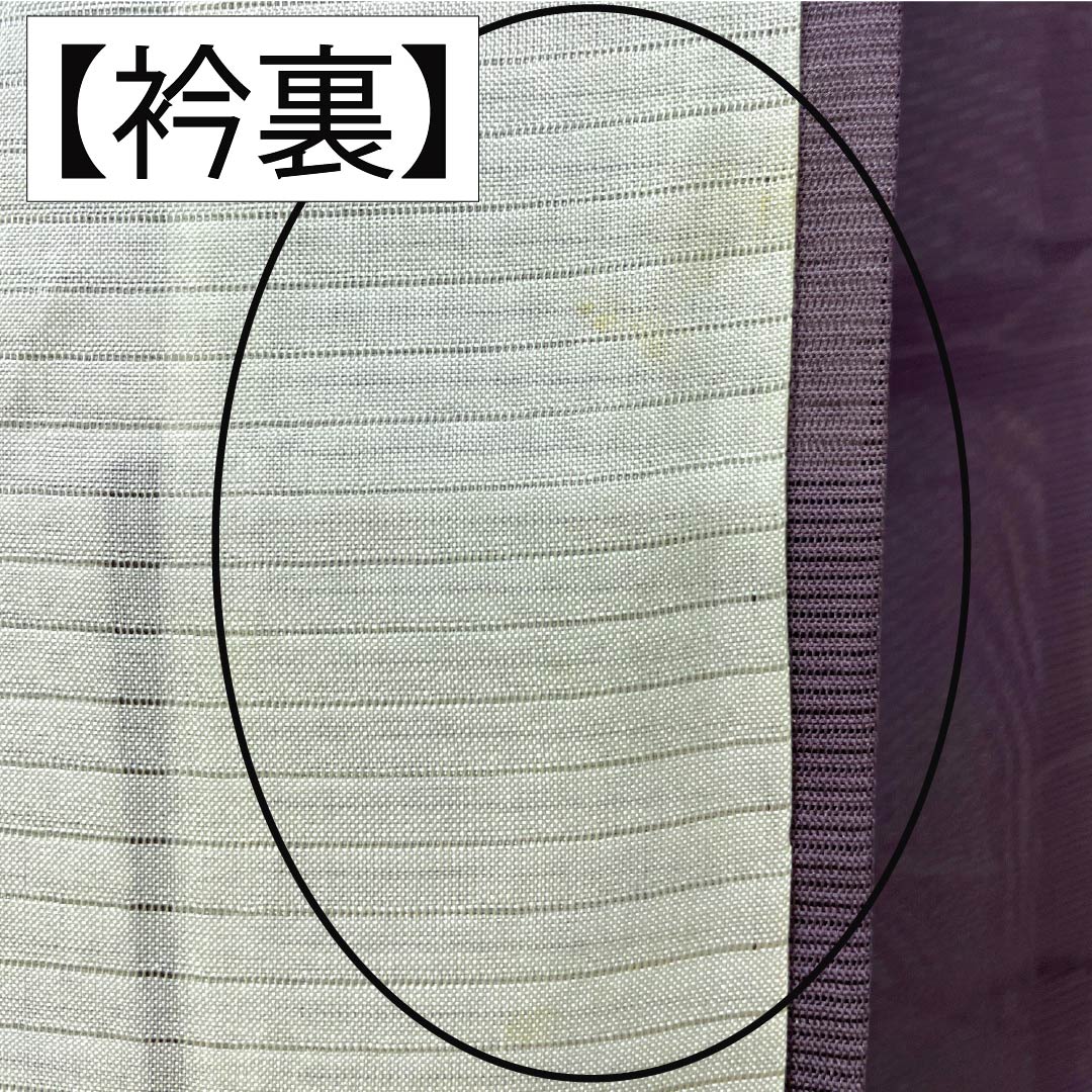 リサイクル着物】夏物 正絹 色無地 Bランク 身丈154cm 裄丈63cm 中滅