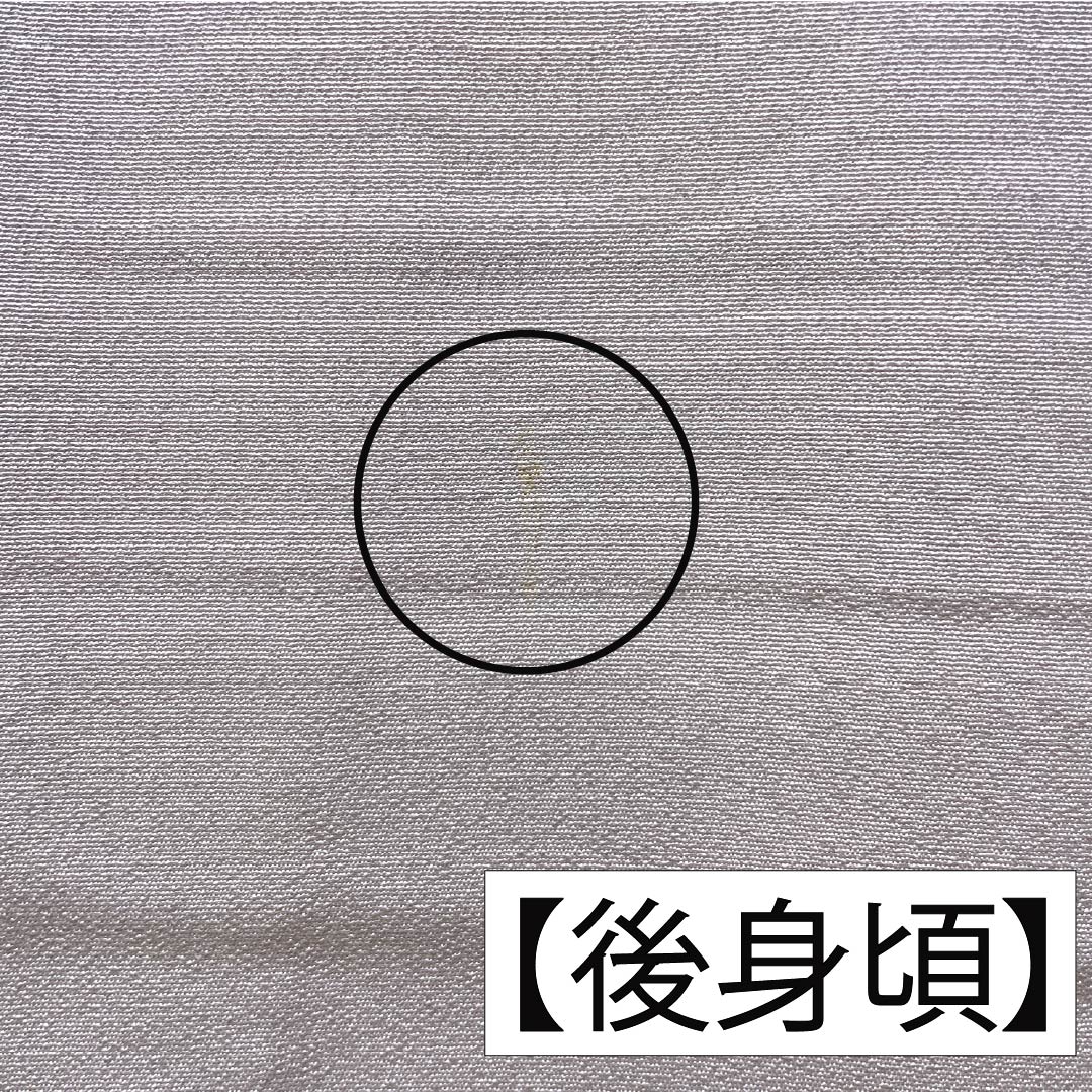色留袖 正絹 Aランク 身丈157.5cm 裄丈62cm 袷 桜色（さくらいろ） 一つ紋 下り藤 京友禅 風景模様 作家物 しつけ糸付き 一つ紋 ピンク系 1111002003313