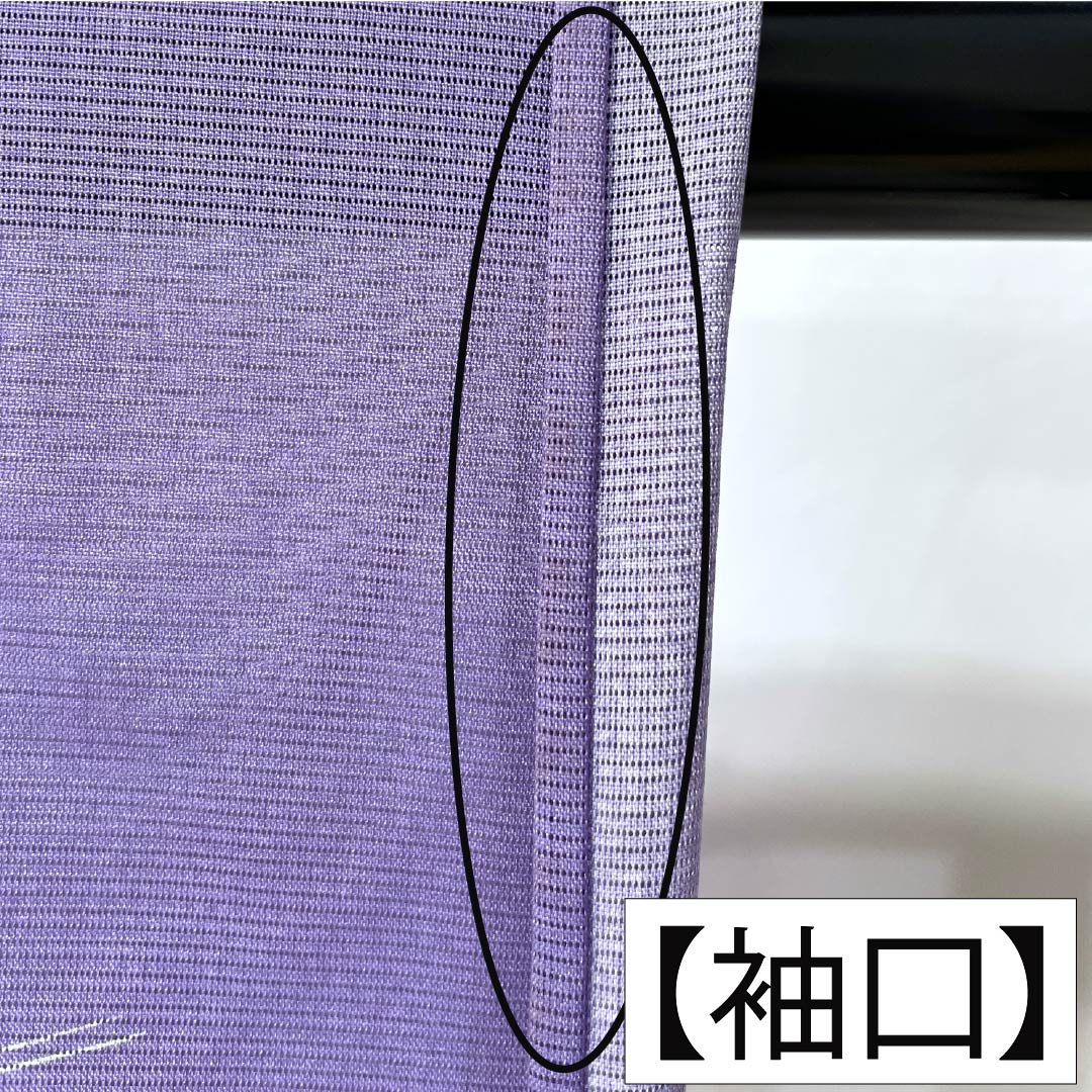 夏物 ポリエステル 訪問着 Bランク 身丈155.5cm 裄丈63cm 紫苑色（しおんいろ） 付下げ 鯉 流水 絽 紫系 1132004474320