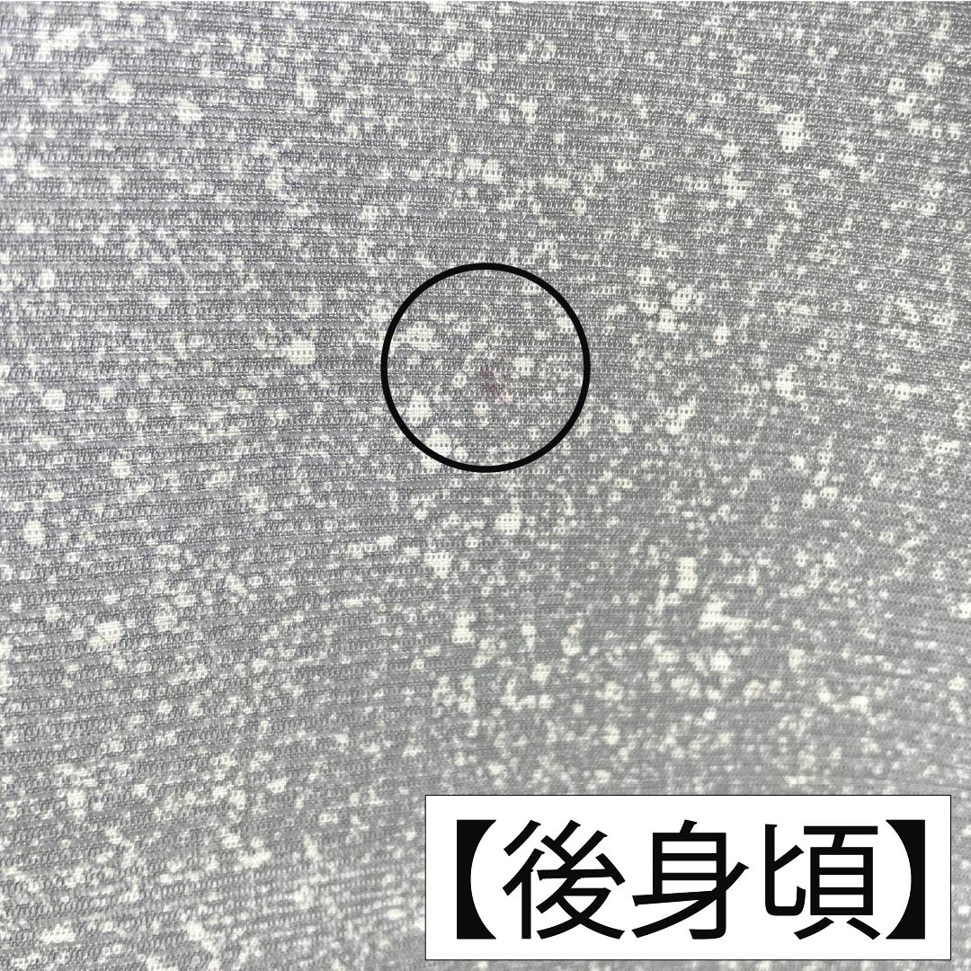 夏物 正絹 小紋 Aランク 身丈156cm 裄丈65.5cm 銀灰色（ぎんかいしょく） タタキ染 一つ紋 丸に上り藤 絽 グレー系 1132006423322
