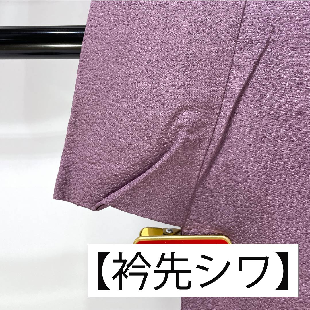 訪問着 正絹 Aランク 袷 身丈155.5cm 裄丈60cm 京藤色（きょうふじいろ） 無地付下げ 汕頭刺繡 雪輪 揚羽蝶 縫い紋 紫系 1112007033320