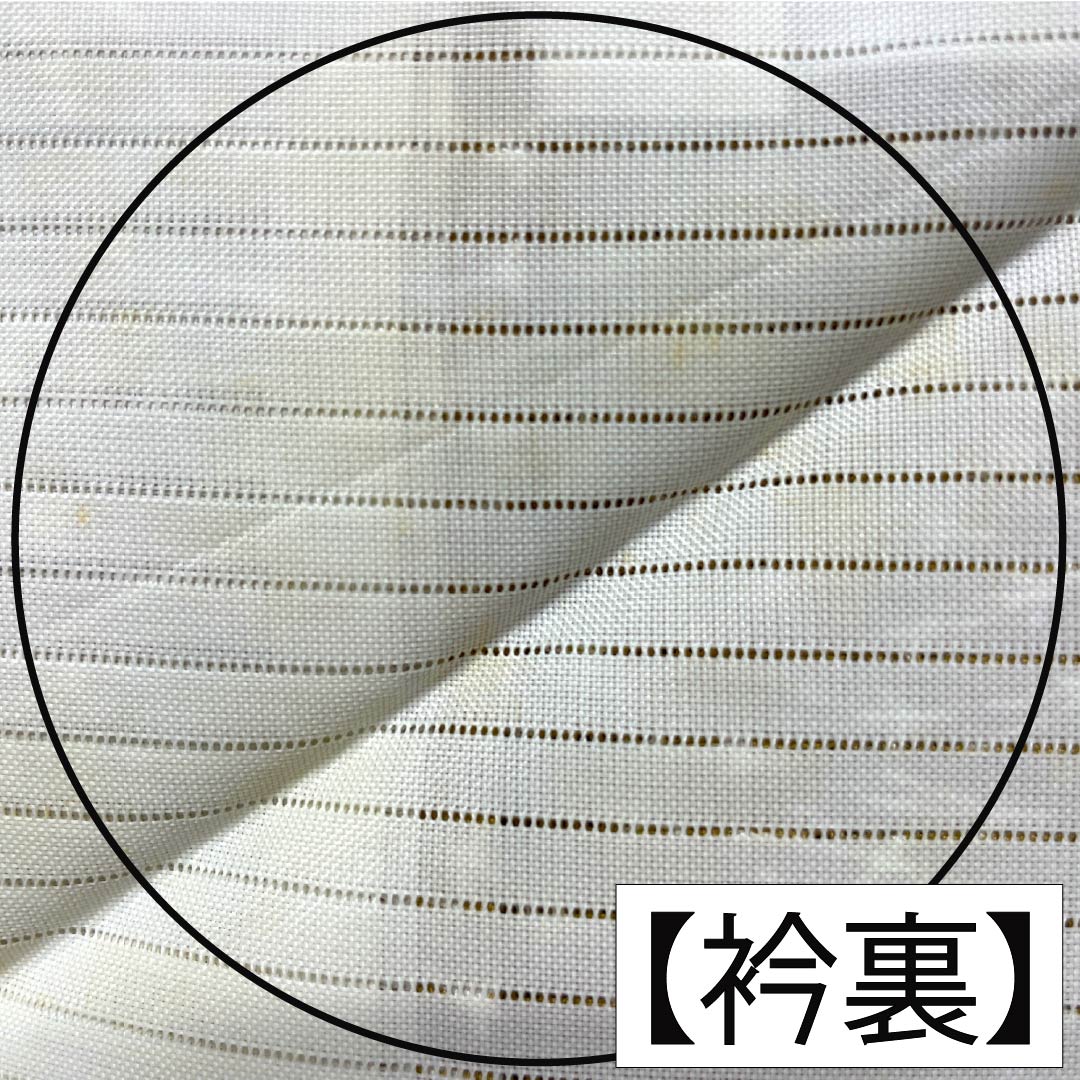 夏物 ポリエステル 小紋 Aランク 身丈151.5cm 裄丈61.5cm 芽色（かやいろ） 松葉 洗える着物 絽 ベージュ系 1132005403225