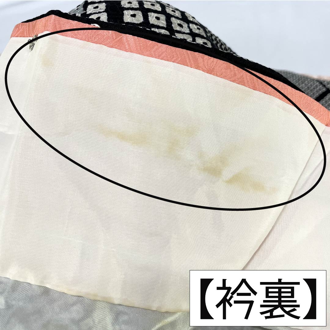 訪問着 正絹 Bランク 袷 身丈161cm 裄丈64.5cm 絞り 銀駒刺繍 重ね衿付き 紗綾形 笹 草花 モノトーン 1112007344427