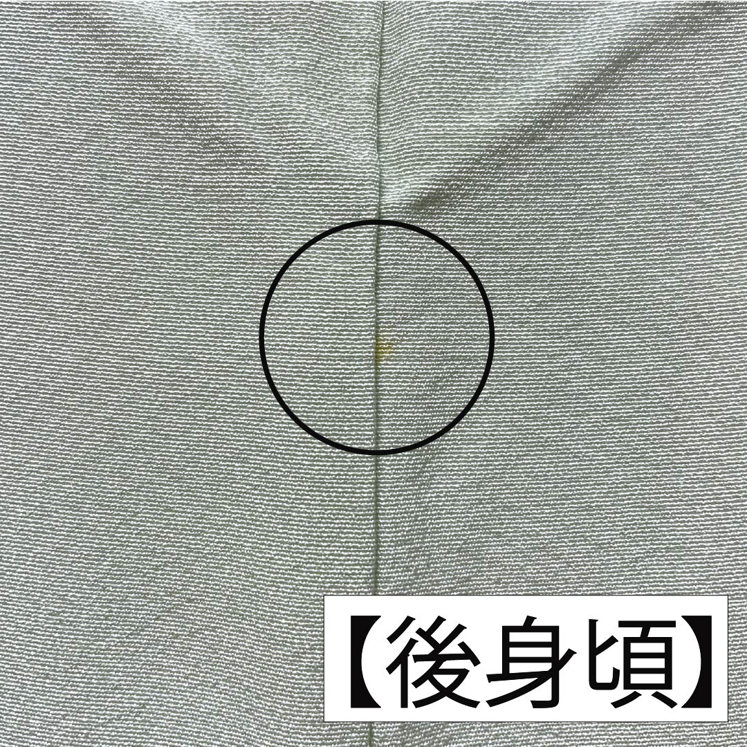 訪問着 正絹 Bランク 袷 身丈165cm 裄丈65.5cm 薄緑色（うすみどりいろ） 花 作家物 周市 しつけ糸付き 緑系 1112006974519