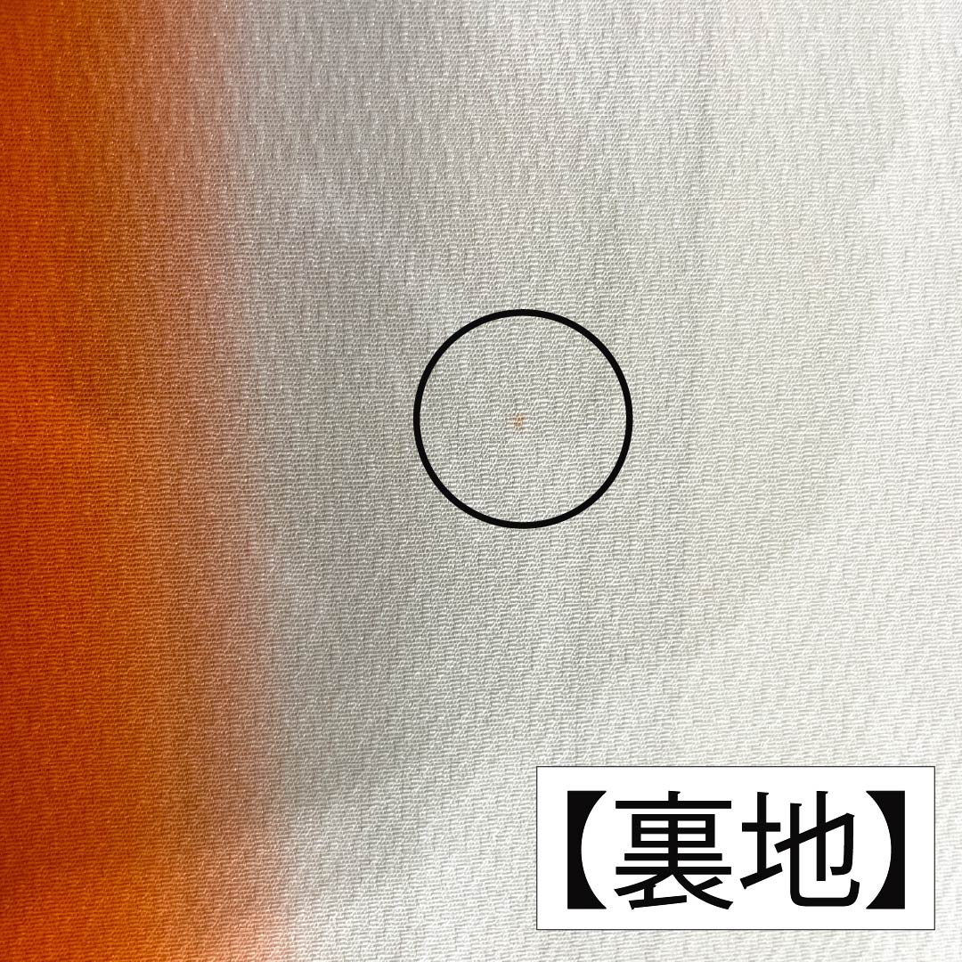 振袖 正絹 Aランク 身丈176.5cm 裄丈66cm 袷 薄柑子色（うすこうじいろ） 京紅型 吉祥文様 桜 牡丹 橙系 1113002343826