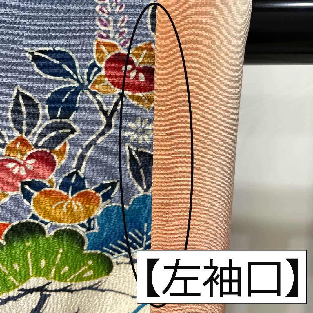 振袖 正絹 Bランク 身丈148.5cm 裄丈62cm 袷 生成り色（きなりいろ） 京紅型 吉祥文様    白系 1113002644111