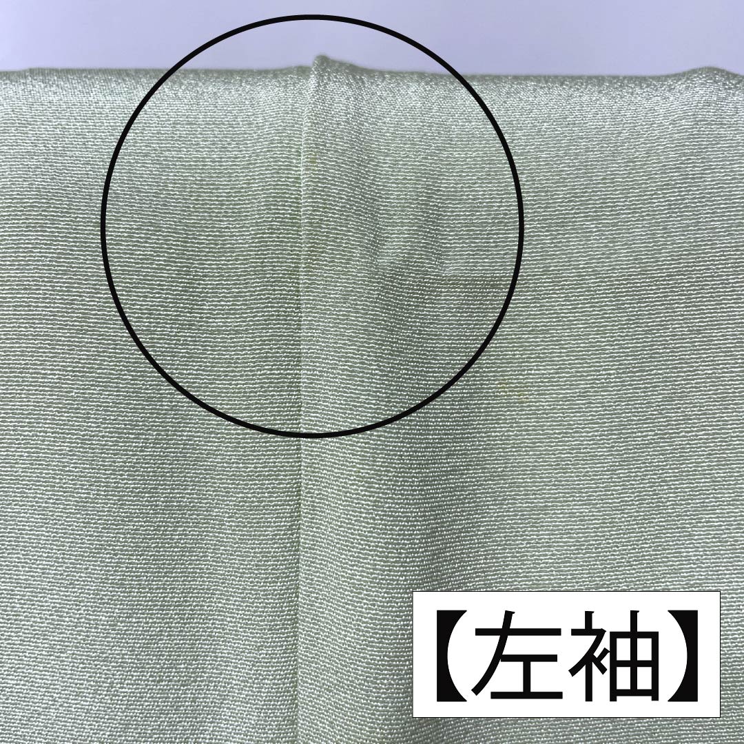 訪問着 正絹 Bランク 袷 身丈165cm 裄丈65.5cm 薄緑色（うすみどりいろ） 花 作家物 周市 しつけ糸付き 緑系 1112006974519