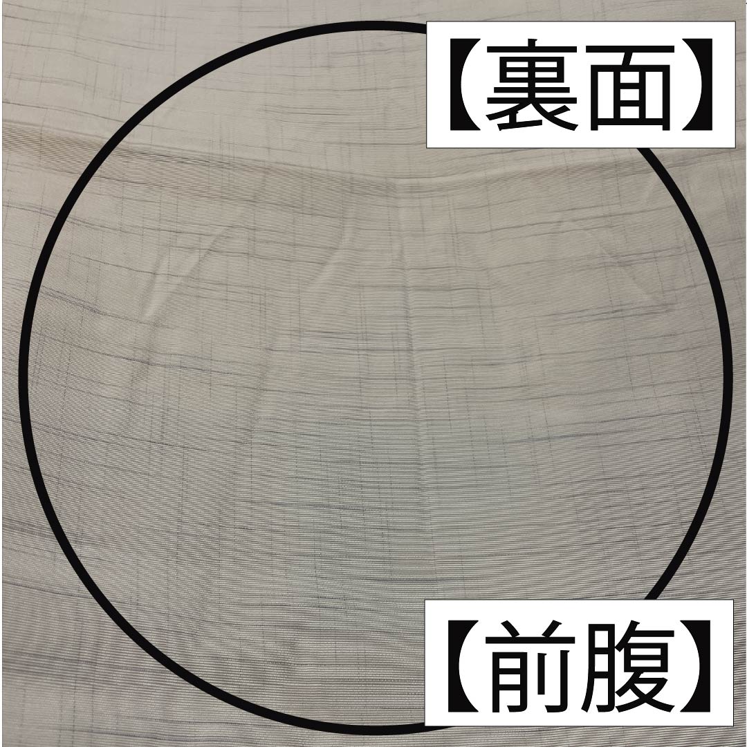 袋帯 正絹 生成り色（きなりいろ） 魚 花 帯丈442cm Sランク 六通 カジュアル クリーム系 1123012522315