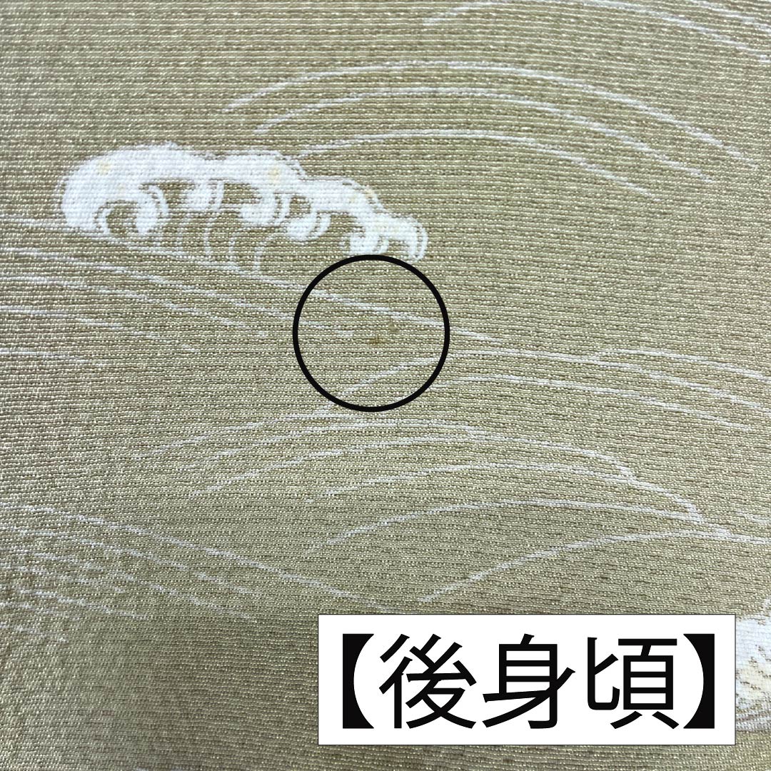 Visiting Kimono, Pure Silk, Grade A, Lined, Length 157.5cm, Sleeve Length 62.5cm, Rikyu White Brown (Rikyu Shirachairo), Kyoto Yuzen, Ivy, Single Crest, Artist's Work, Landscape Pattern, Green, Product Number: 1112007073319