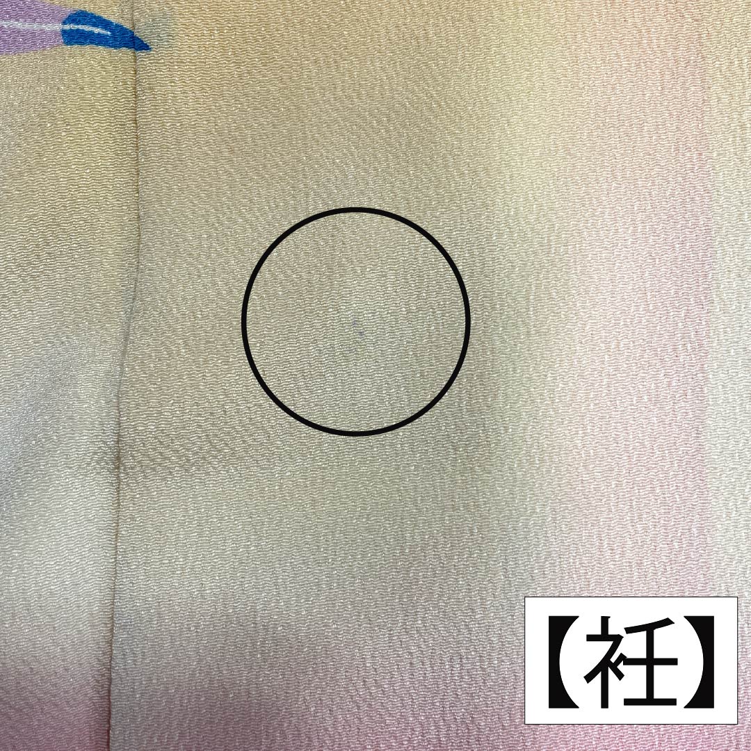 振袖 正絹 Aランク 身丈161cm 裄丈62.5cm 袷 薄柑子色（うすこうじいろ） 京紅型 牡丹 藤 ちりめん地 橙系 1113002403426