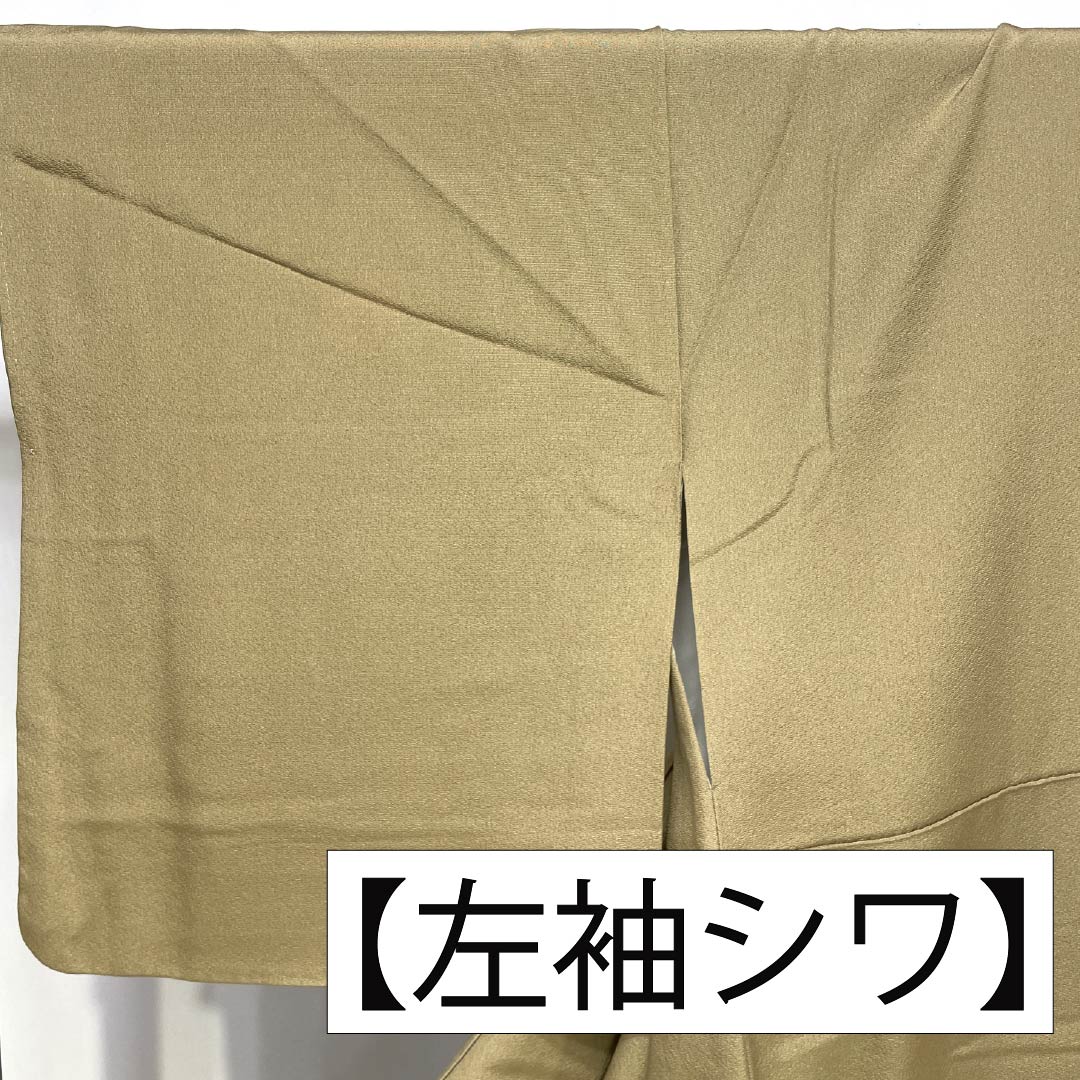 訪問着 正絹 Aランク 袷 身丈160cm 裄丈62.5cm 丁子煤竹色（ちょうじすすたけいろ） 琉球紅型 雪輪 鳳凰 風景 パールトーン加工 ベージュ系 1112007273425