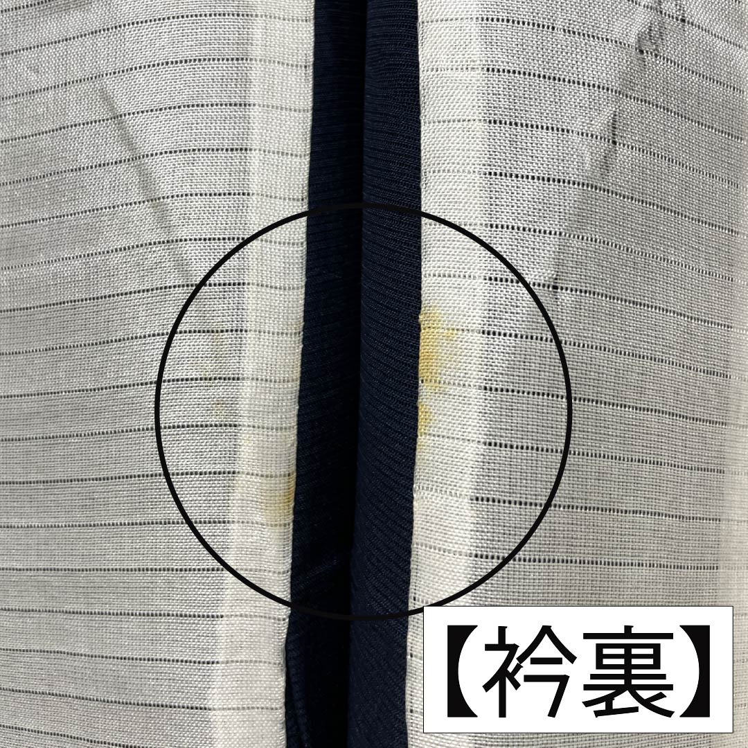 夏物 正絹 色無地 Aランク 身丈159.5cm 裄丈64.5cm 濃紺色（のうこんいろ） 草花模様 紋紗 紗 紺系 1132003723318