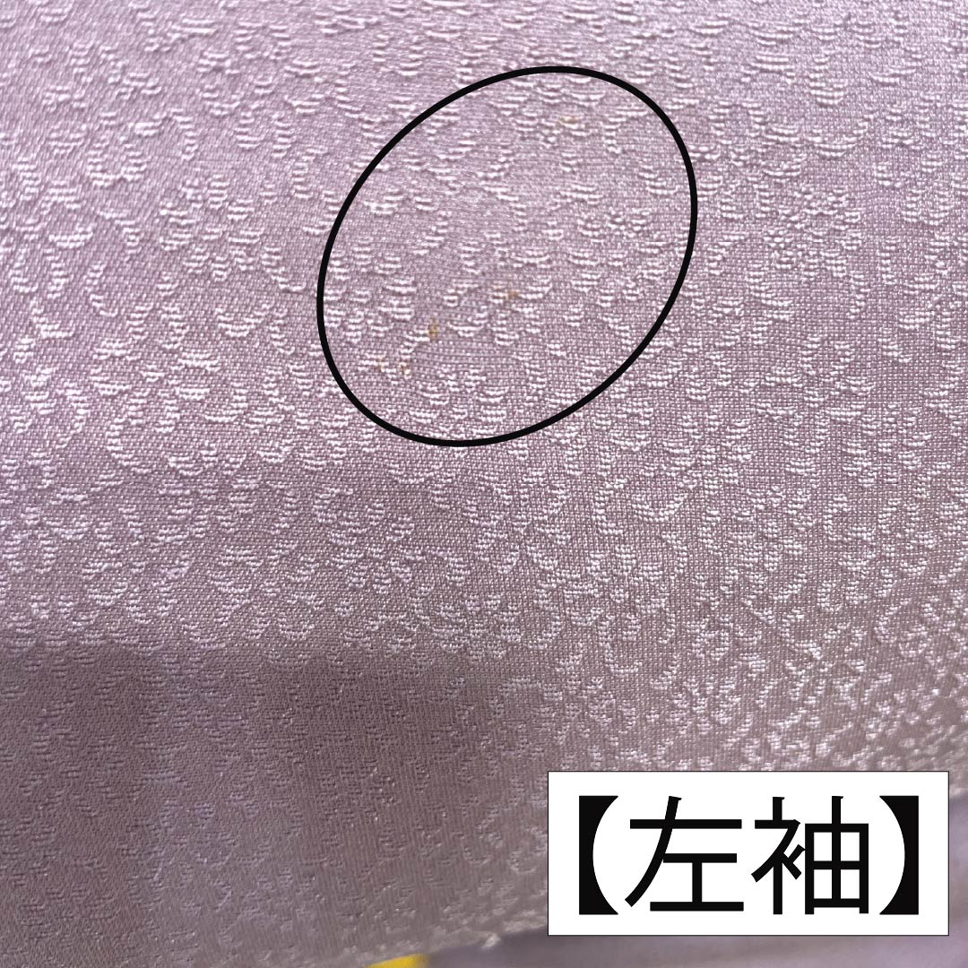 訪問着 正絹 Bランク 袷 身丈165.5cm 裄丈67.5cm 淡紅藤色（うすべにふじいろ） 付下げ 草花 紫系 1112007404520