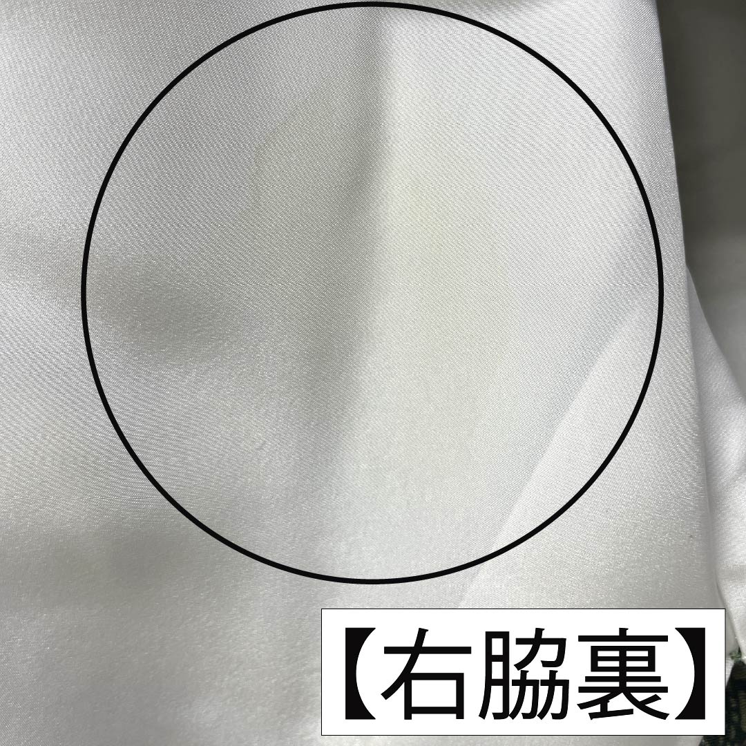 小紋 正絹 Aランク 身丈155.5cm 裄丈64cm 袷 鉄色（てついろ） 江戸小紋 南部幸雄 菊 割付文様 緑系 1115007243319