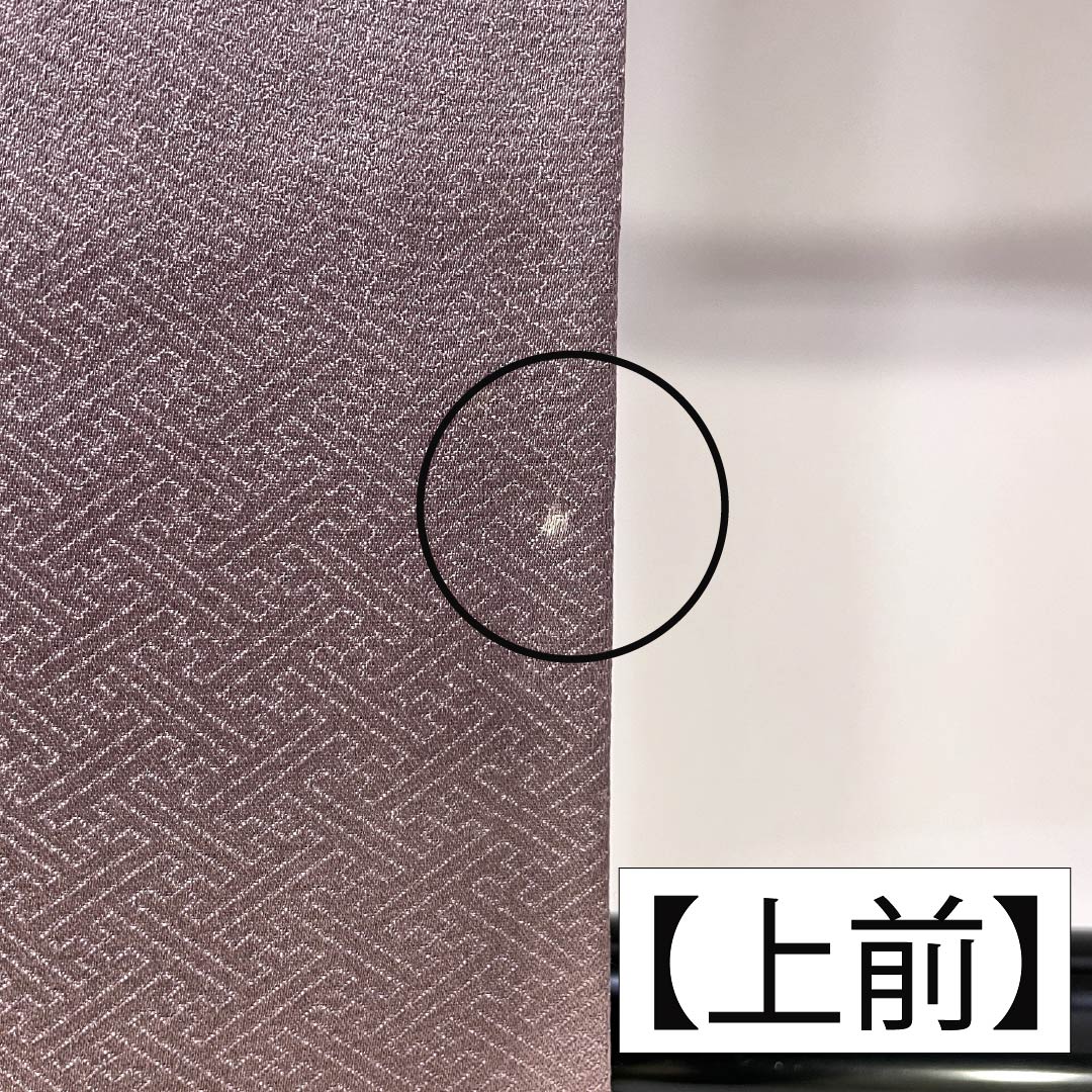 訪問着 正絹 Bランク 袷 身丈164cm 裄丈64.5cm 紅掛鼠色（べにかけねずいろ） 京友禅 一つ紋 草木 紫系 1112007044420