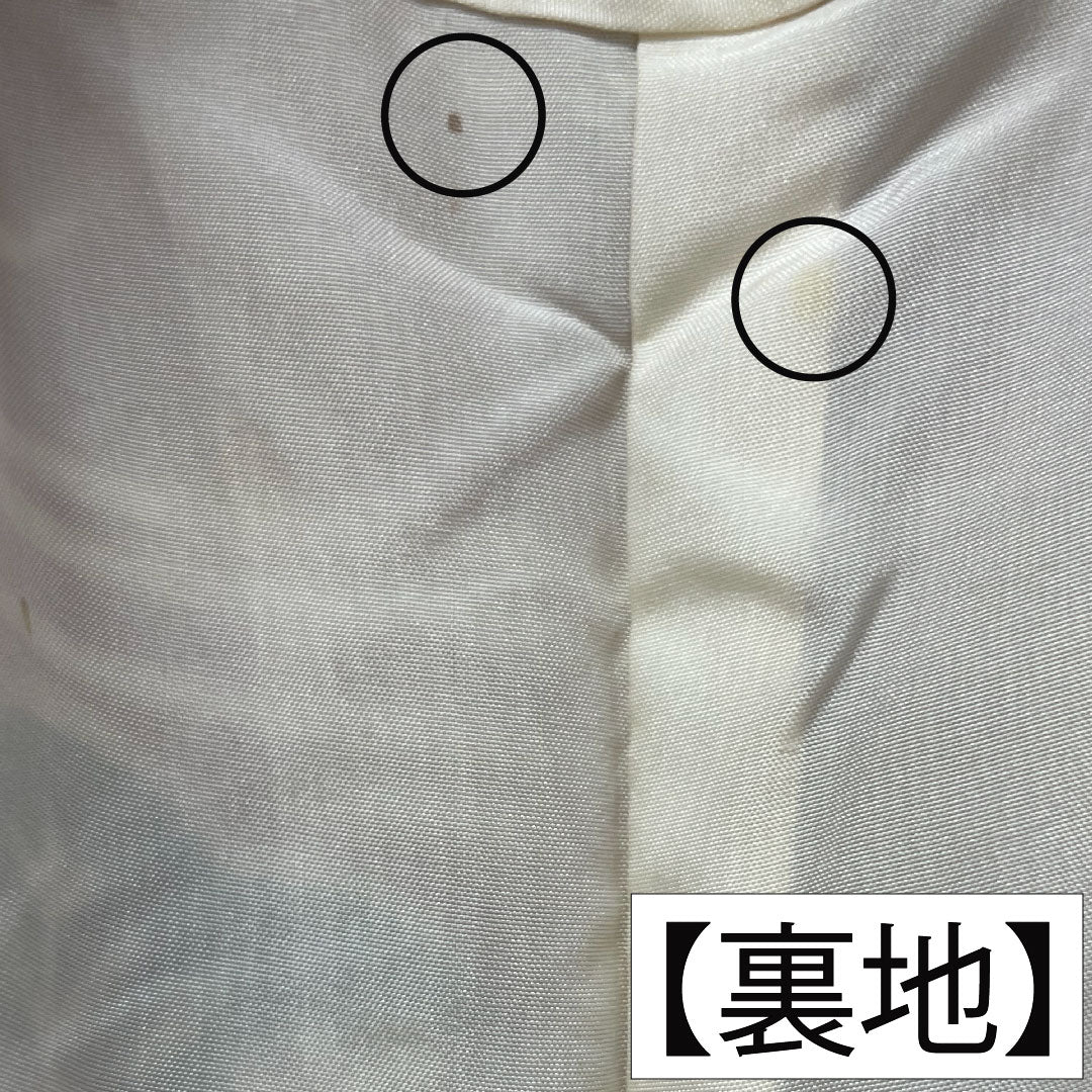 振袖 正絹 身丈160cm 裄丈62.5cm 袷 土耳古赤色（とるこあかいろ） 金通し 露芝 草花模様 Aランク 赤系 1113002043412