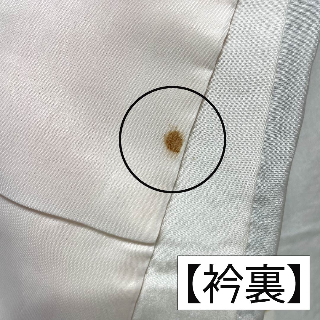 訪問着 正絹 Bランク 袷 身丈161cm 裄丈64.5cm 絞り 銀駒刺繍 重ね衿付き 紗綾形 笹 草花 モノトーン 1112007344427