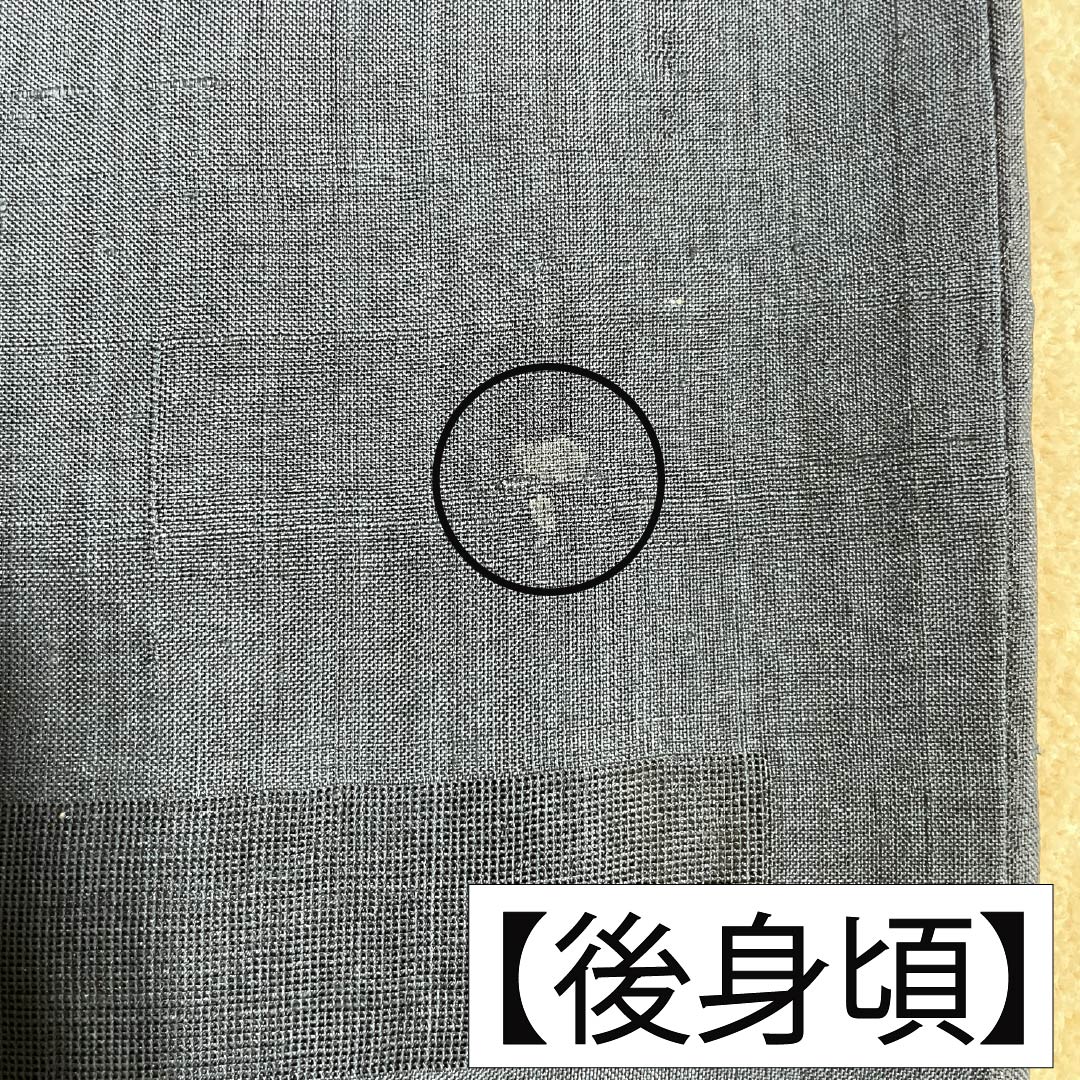 夏物 正絹 色無地 Bランク 身丈161cm 裄丈65.5cm 紬地 紋紗 紗 黒系 1132003824410
