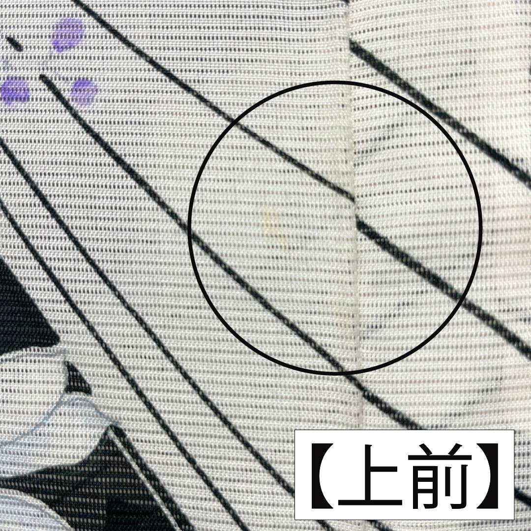 夏物 ポリエステル 小紋 Bランク 身丈159.5cm 裄丈65cm 花柄 洗える着物 絽 黒系 1132005144310