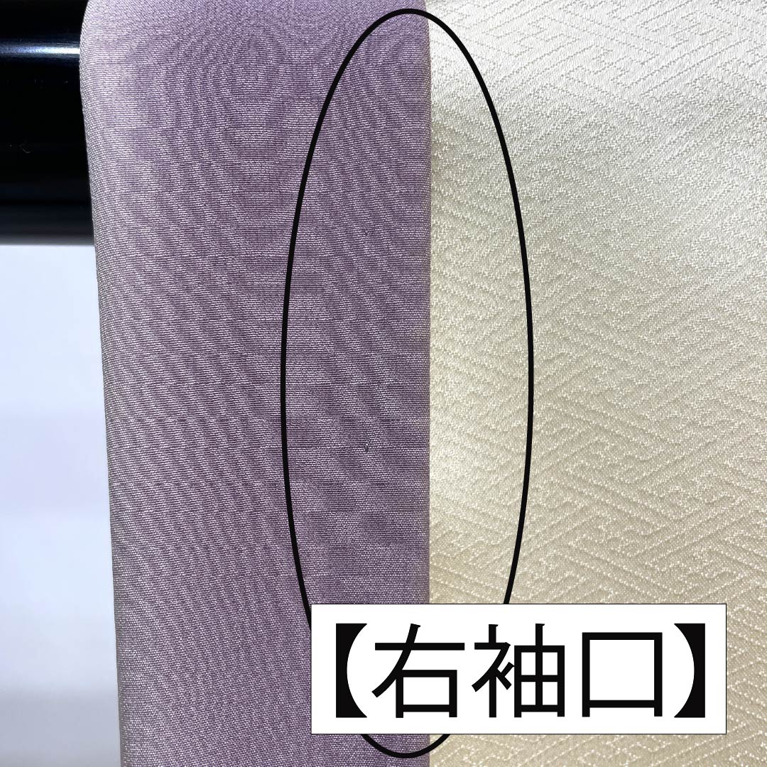 訪問着 正絹 Bランク 袷 身丈154.5cm 裄丈64cm 生成り色（きなりいろ） 福田喜重 人間国宝 一つ紋 上田家桐 刺繍 クリーム系 1112006824215