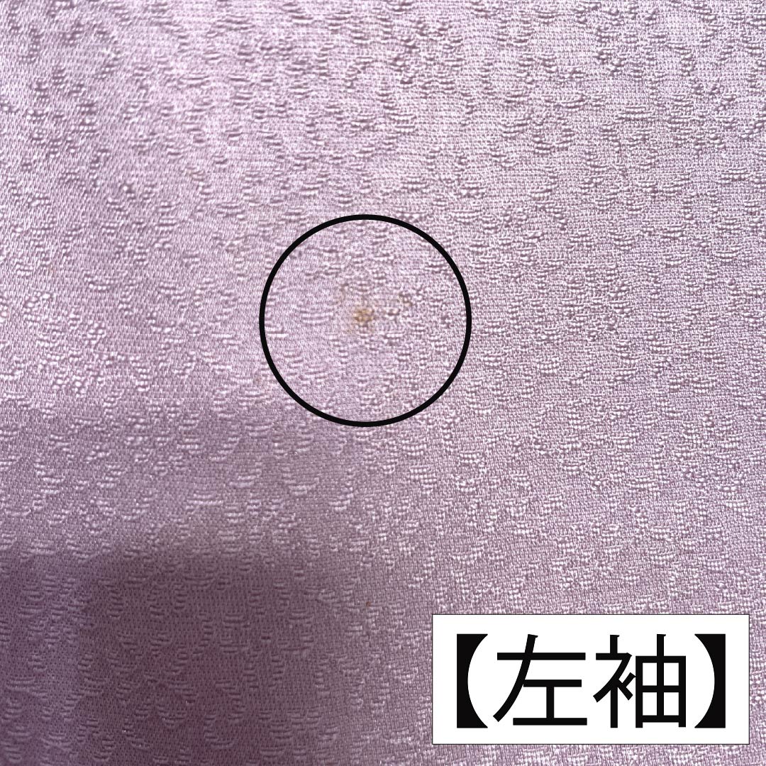 訪問着 正絹 Bランク 袷 身丈165.5cm 裄丈67.5cm 淡紅藤色（うすべにふじいろ） 付下げ 草花 紫系 1112007404520