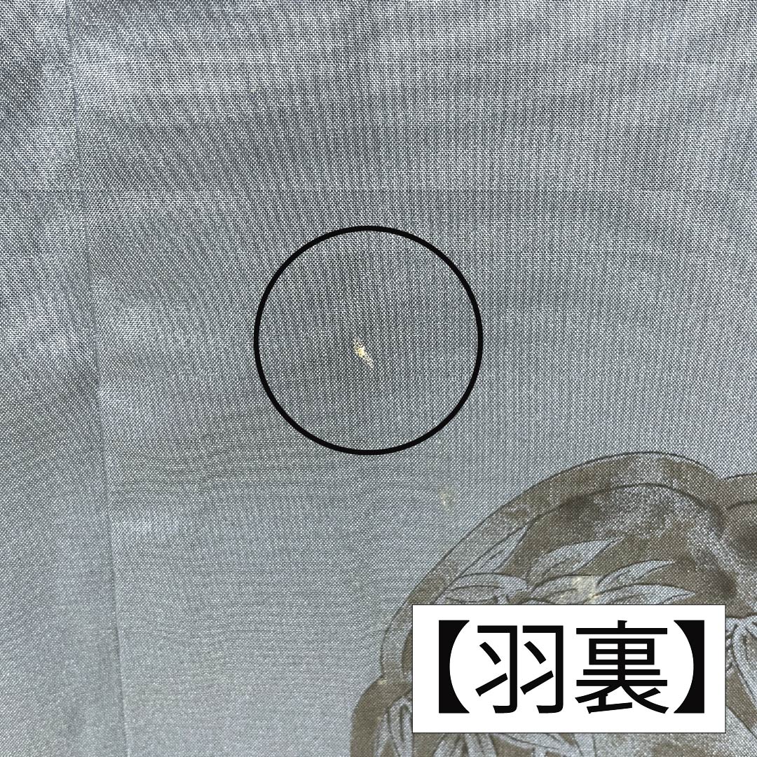 男物 正絹 Aランク 身丈149cm 裄丈71cm 藍鉄色（あいてついろ） 紬地 アンサンブル 袷 青系 1119001263417
