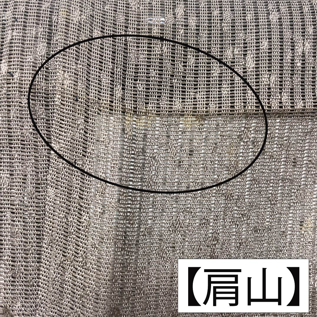 夏物 正絹 訪問着 Bランク 身丈165.5cm 裄丈65cm 都鼠色（みやこねずいろ） 京友禅 タタキ染 秋草 絽 茶系 1132005104514