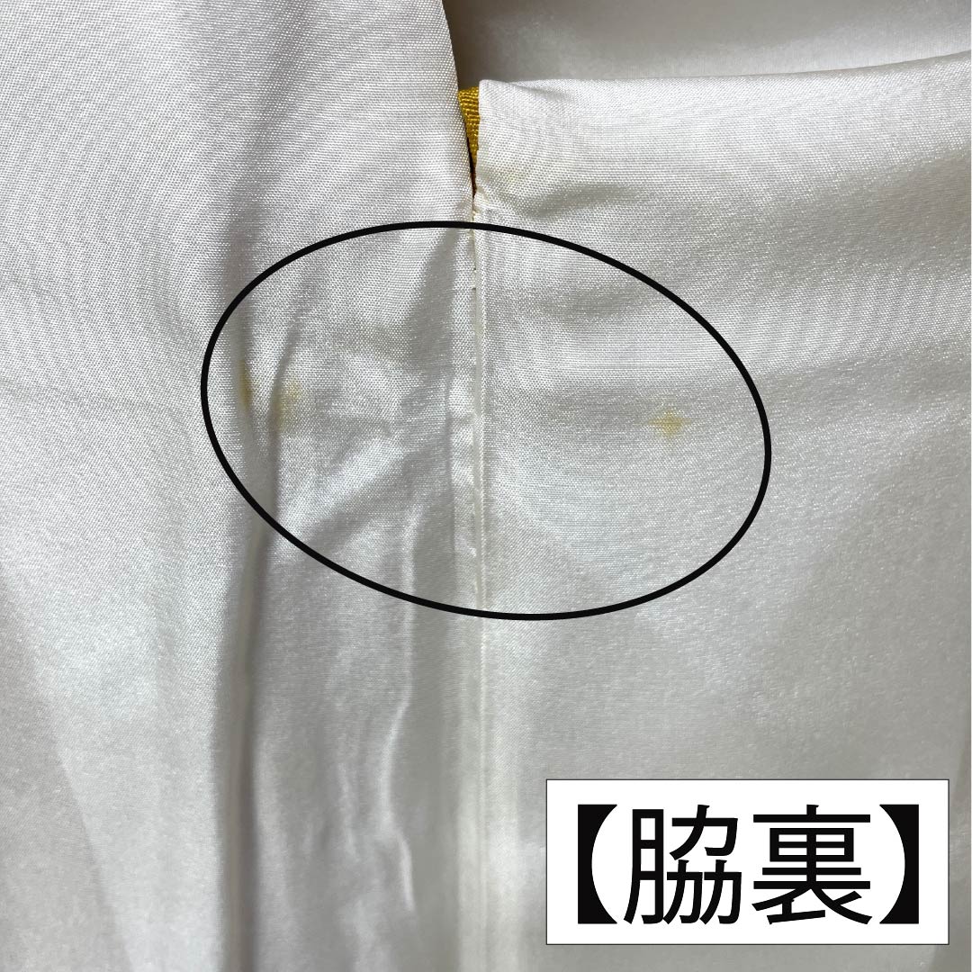 振袖 正絹 Aランク 身丈161.5cm 裄丈66cm 袷 山吹色（やまぶきいろ） 京紅型 宮崎染工 作家物 吉祥文様 牡丹 黄系 1113002513423