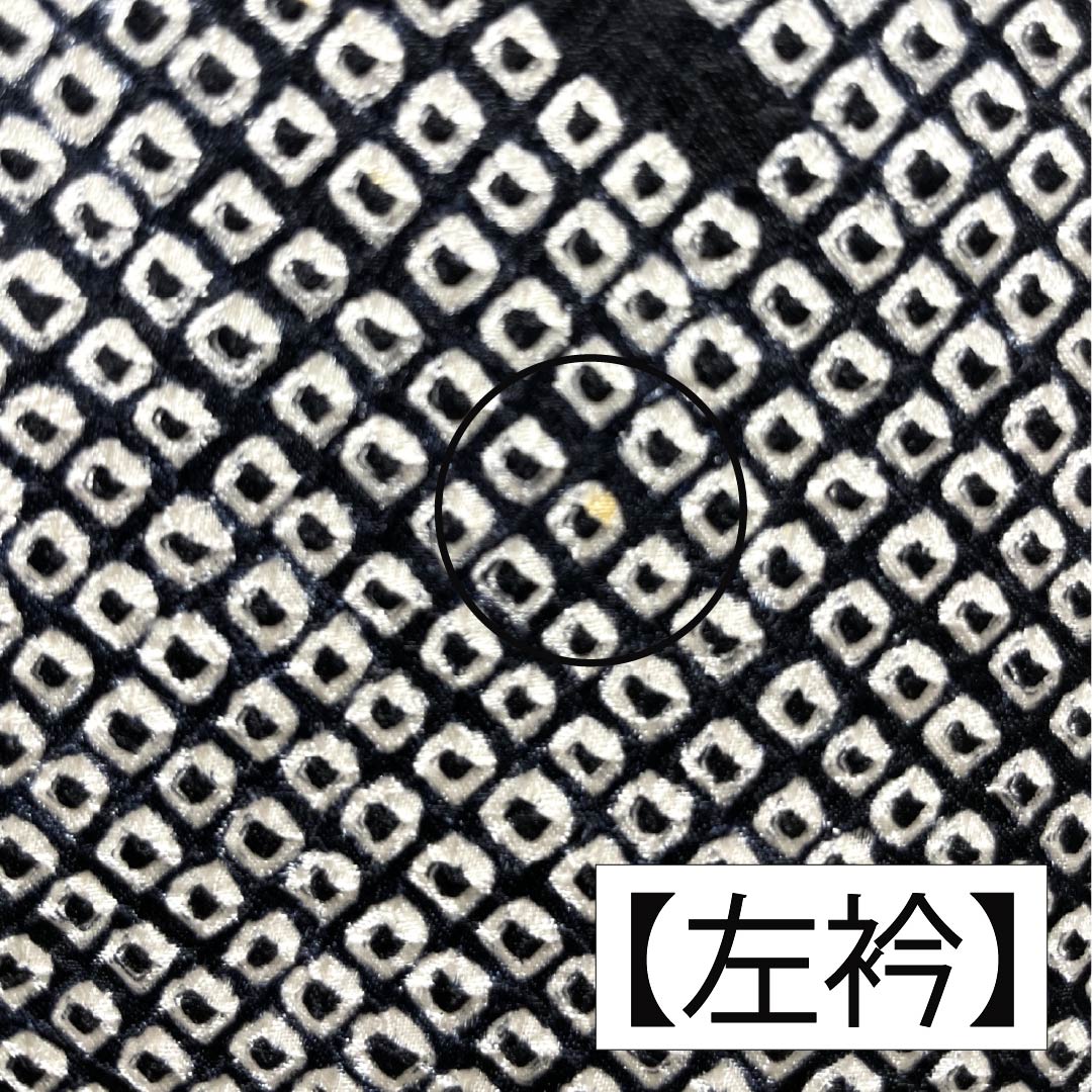 訪問着 正絹 Bランク 袷 身丈161cm 裄丈64.5cm 絞り 銀駒刺繍 重ね衿付き 紗綾形 笹 草花 モノトーン 1112007344427